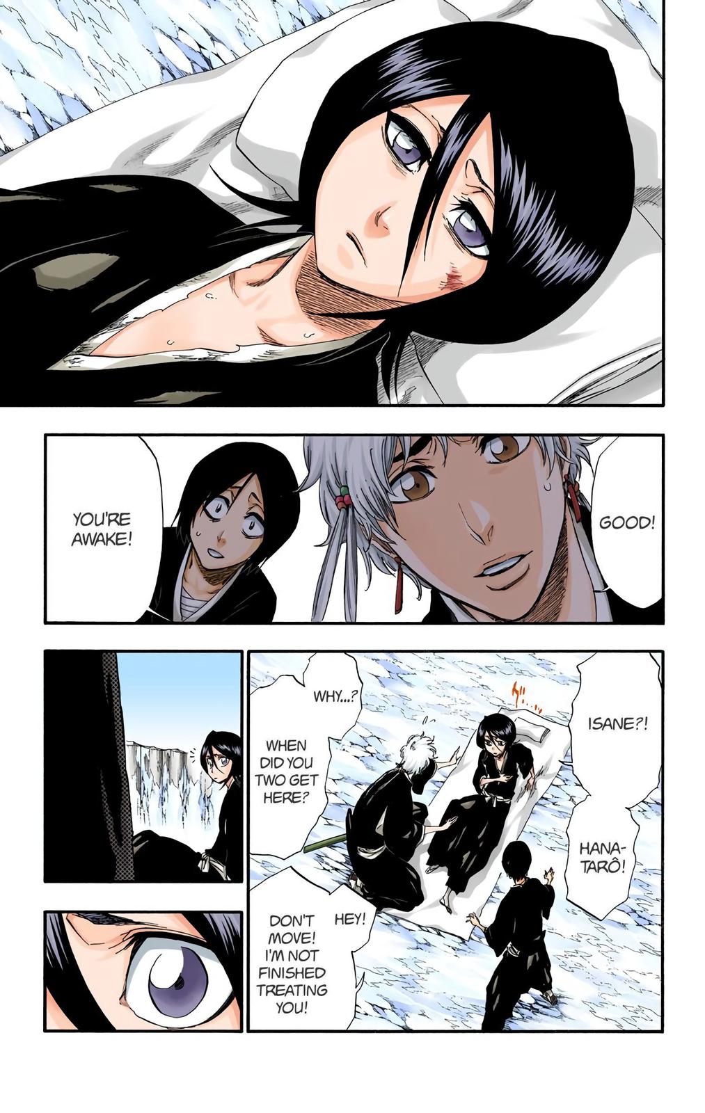 Read Bleach (Colored) EN Manga Online