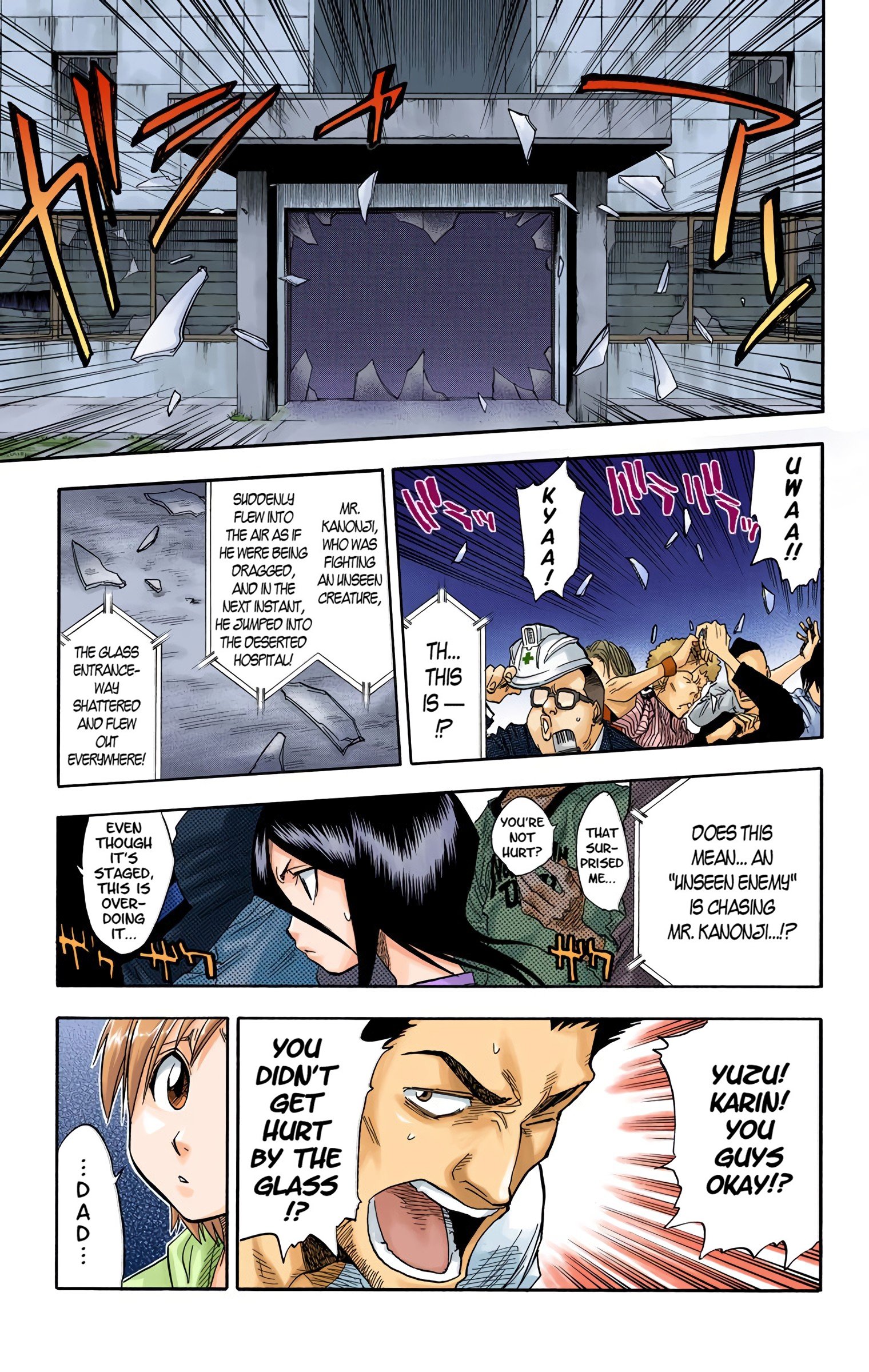 Read Bleach (Colored) EN Manga Online