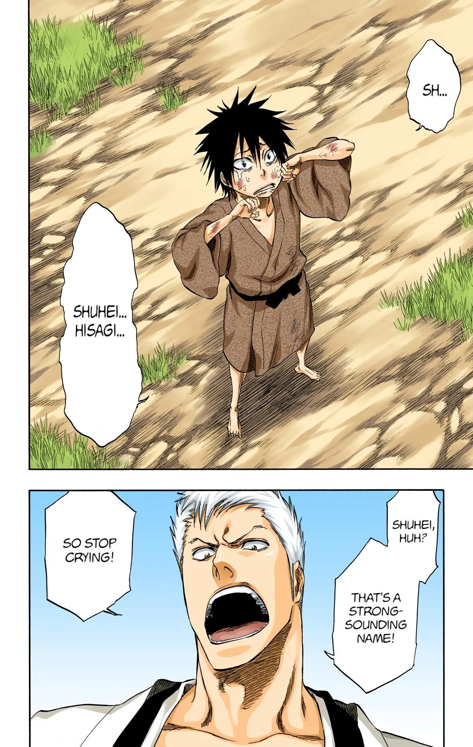 Read Bleach (Colored) EN Manga Online