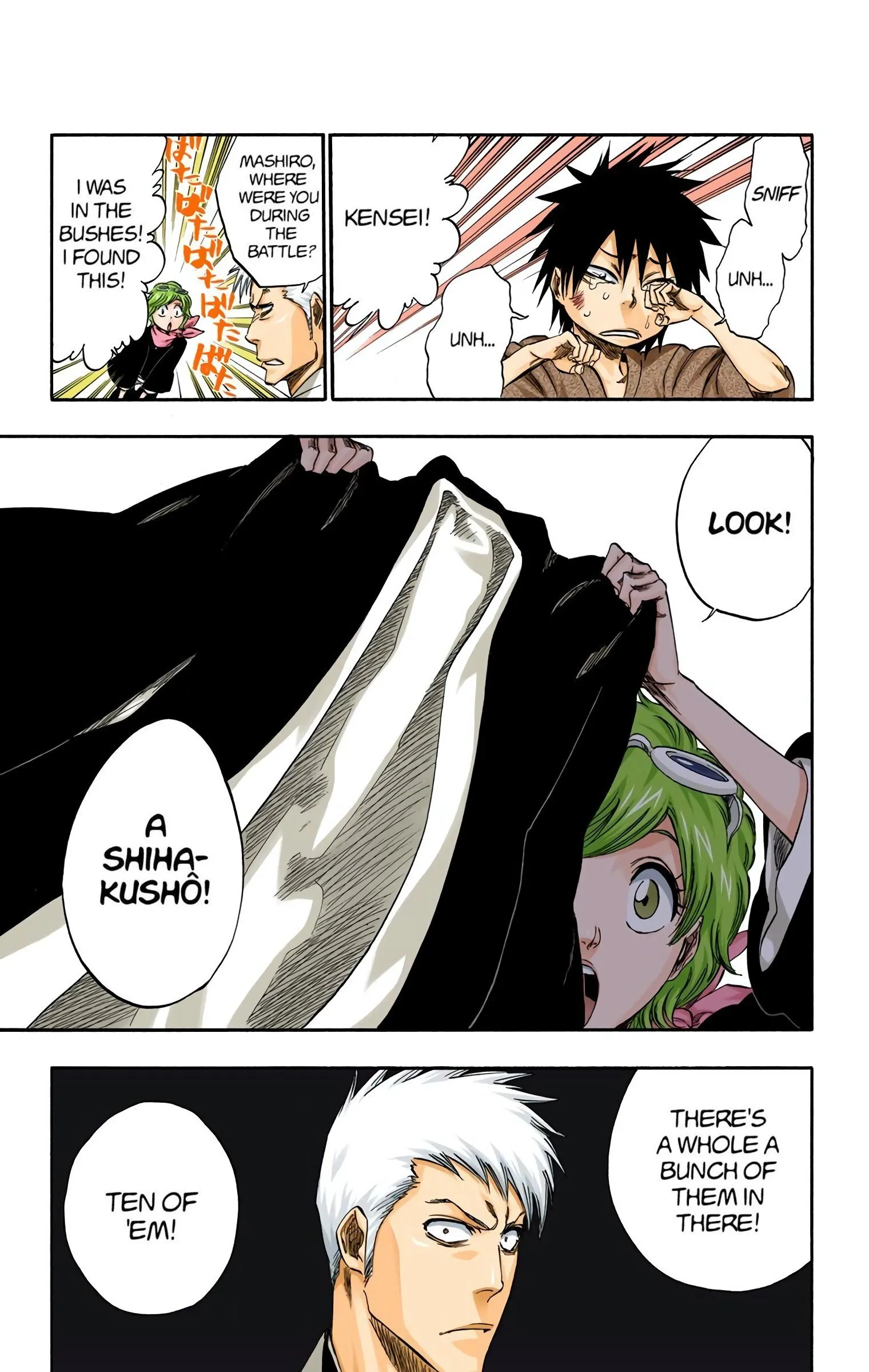 Read Bleach (Colored) EN Manga Online