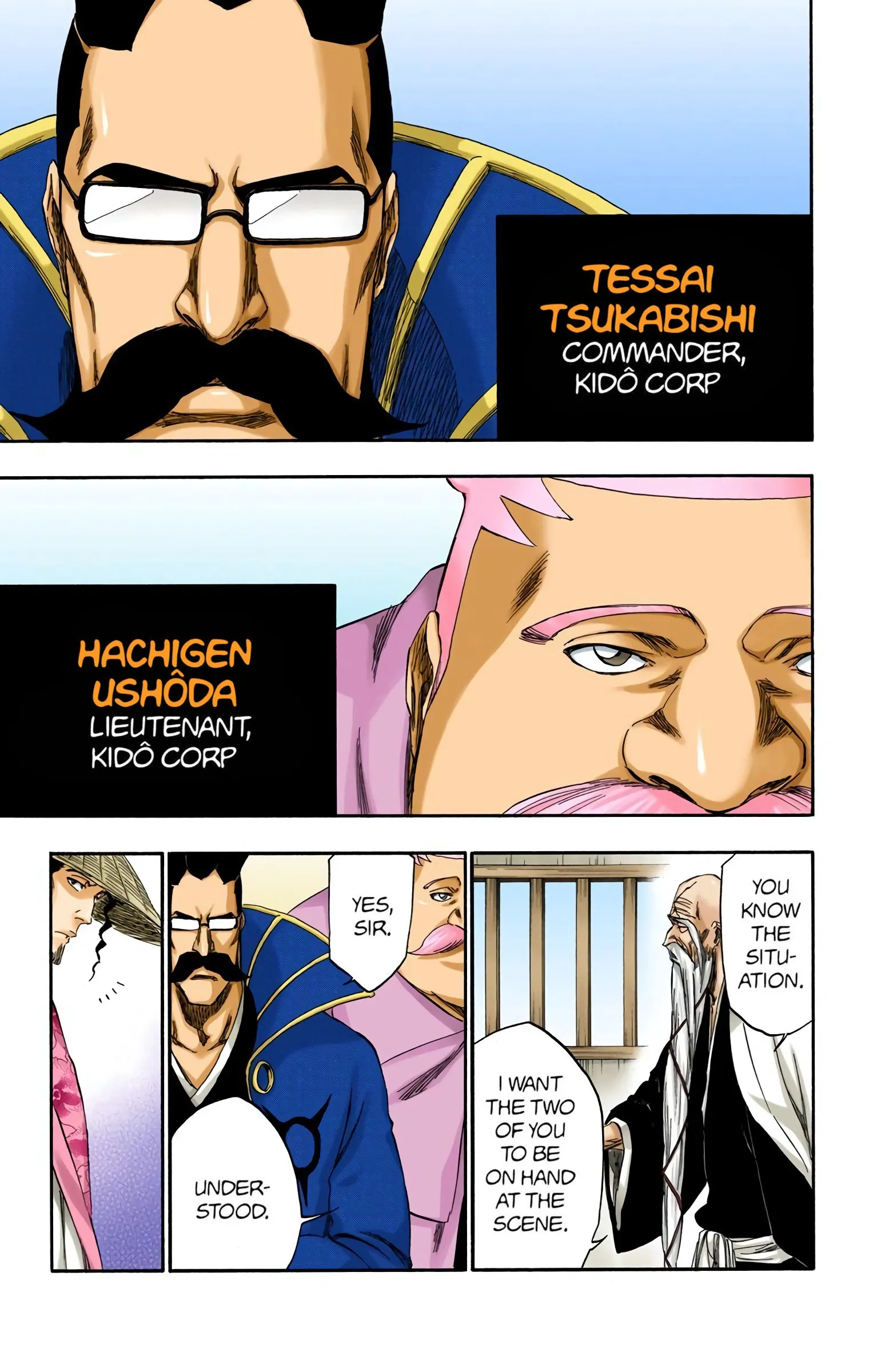 Read Bleach (Colored) EN Manga Online
