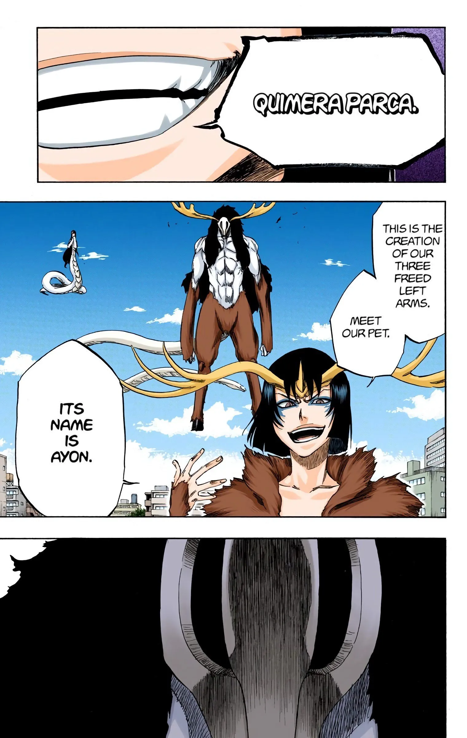 Read Bleach (Colored) EN Manga Online