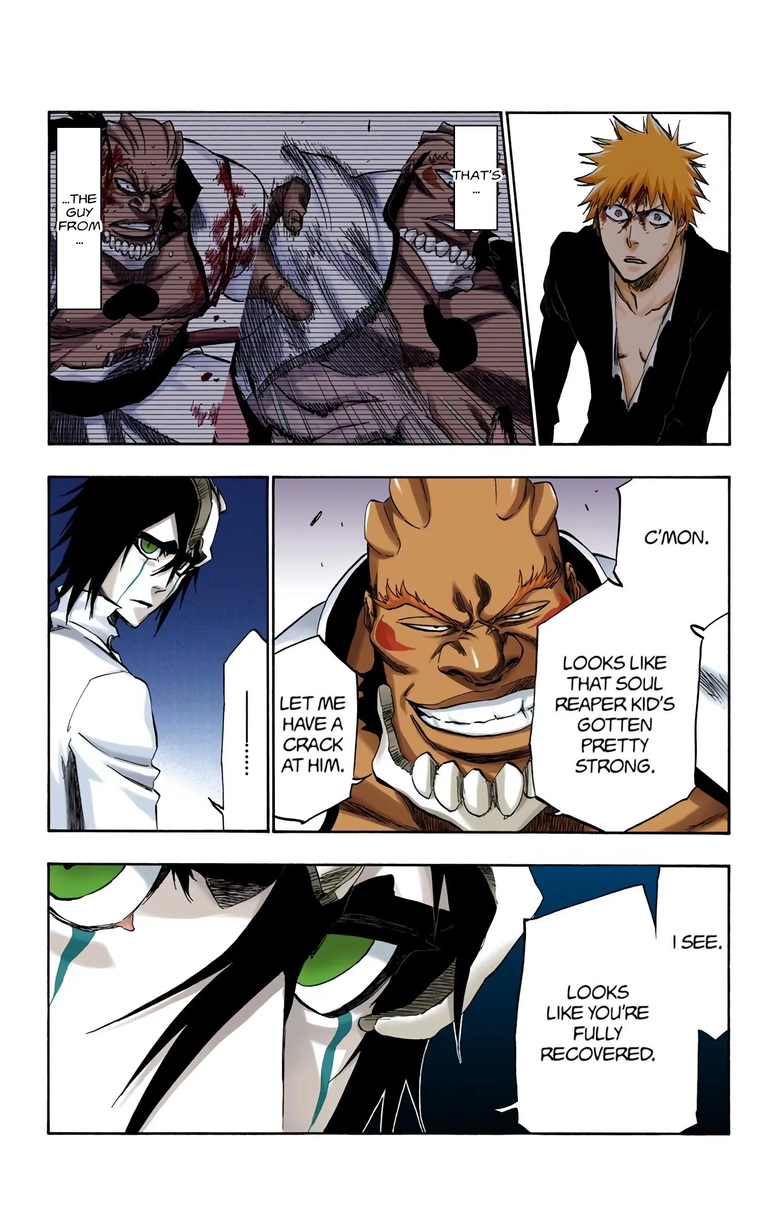 Read Bleach (Colored) EN Manga Online