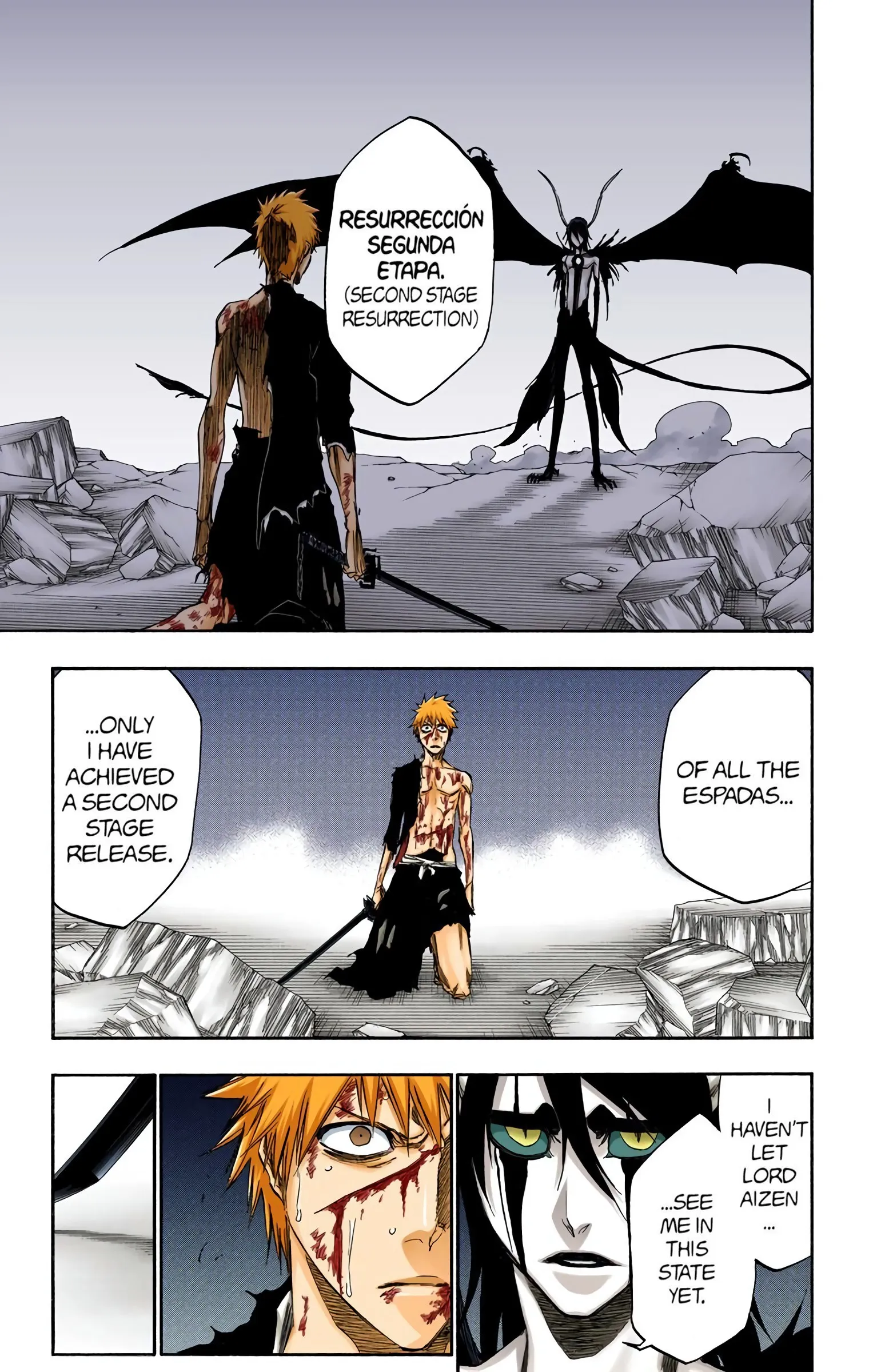Read Bleach (Colored) EN Manga Online