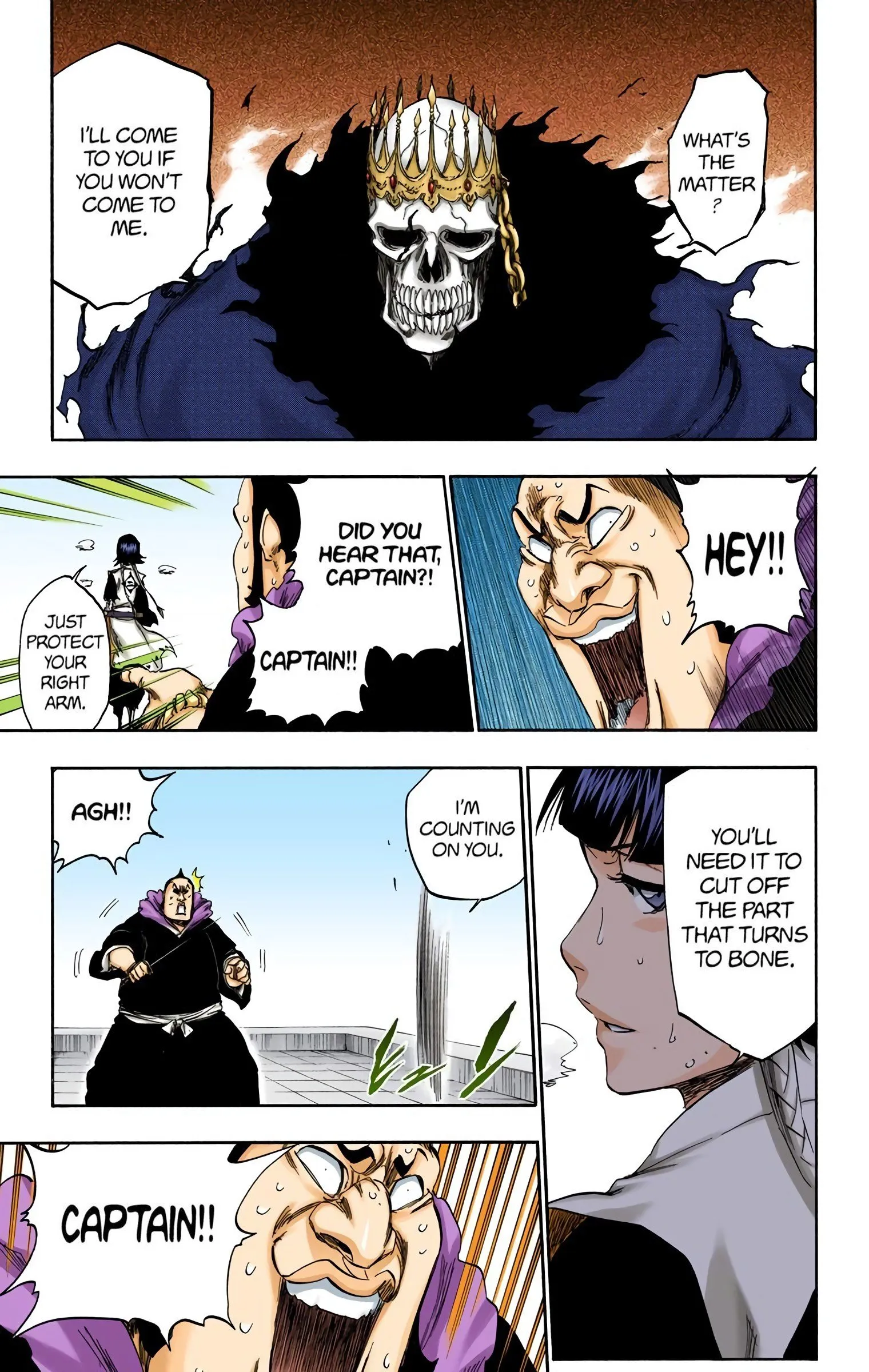 Read Bleach (Colored) EN Manga Online