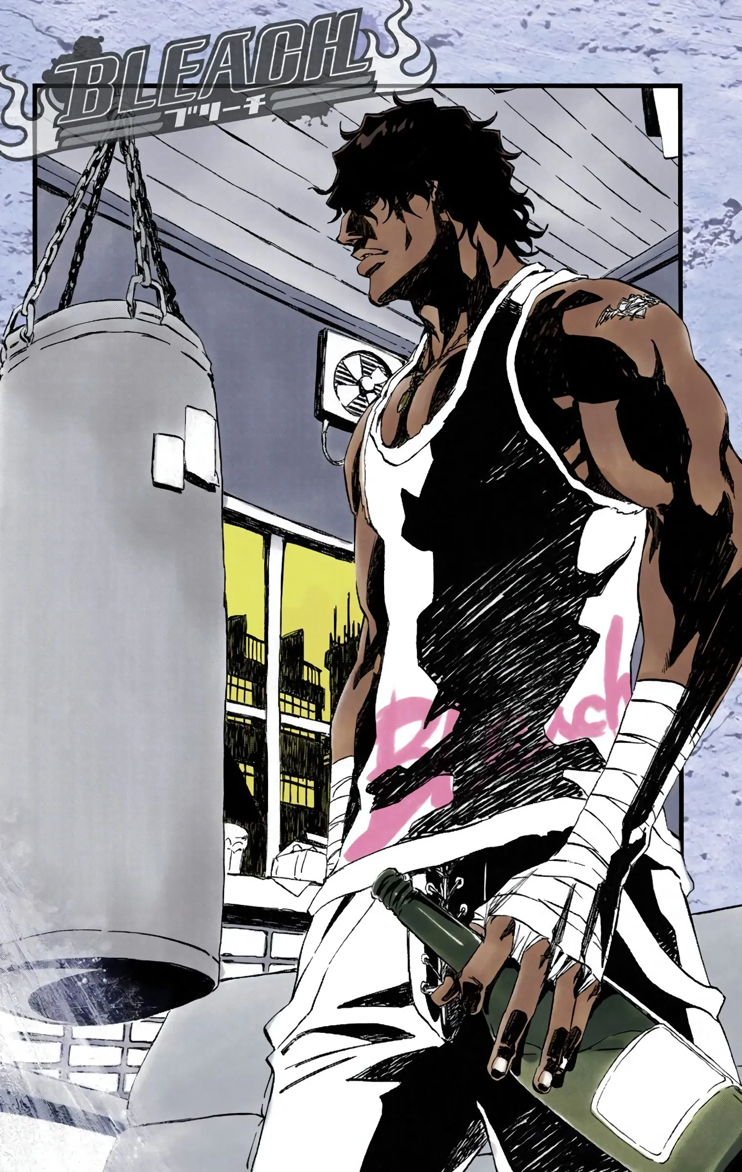 Read Bleach (Colored) EN Manga Online