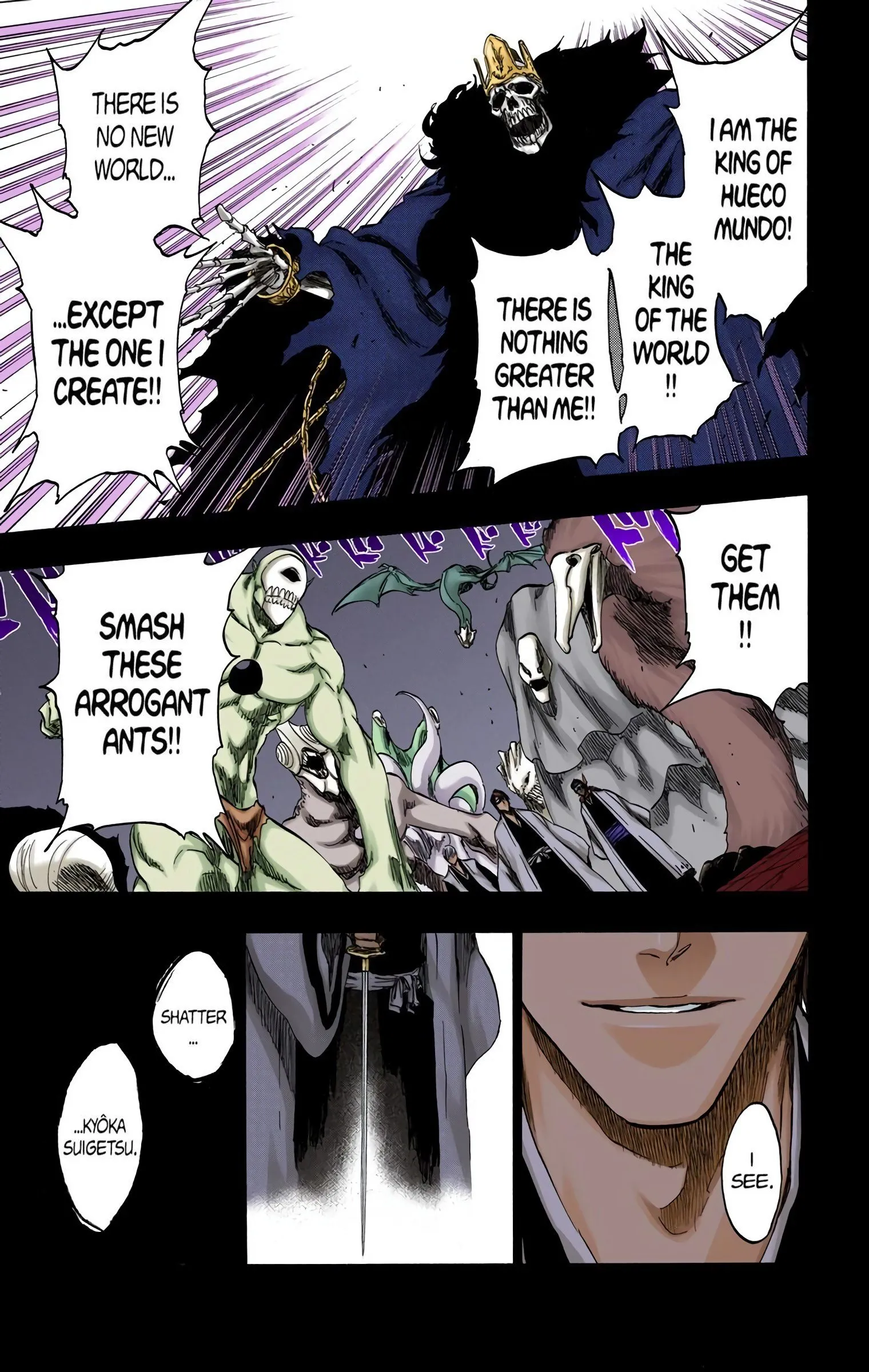 Read Bleach (Colored) EN Manga Online