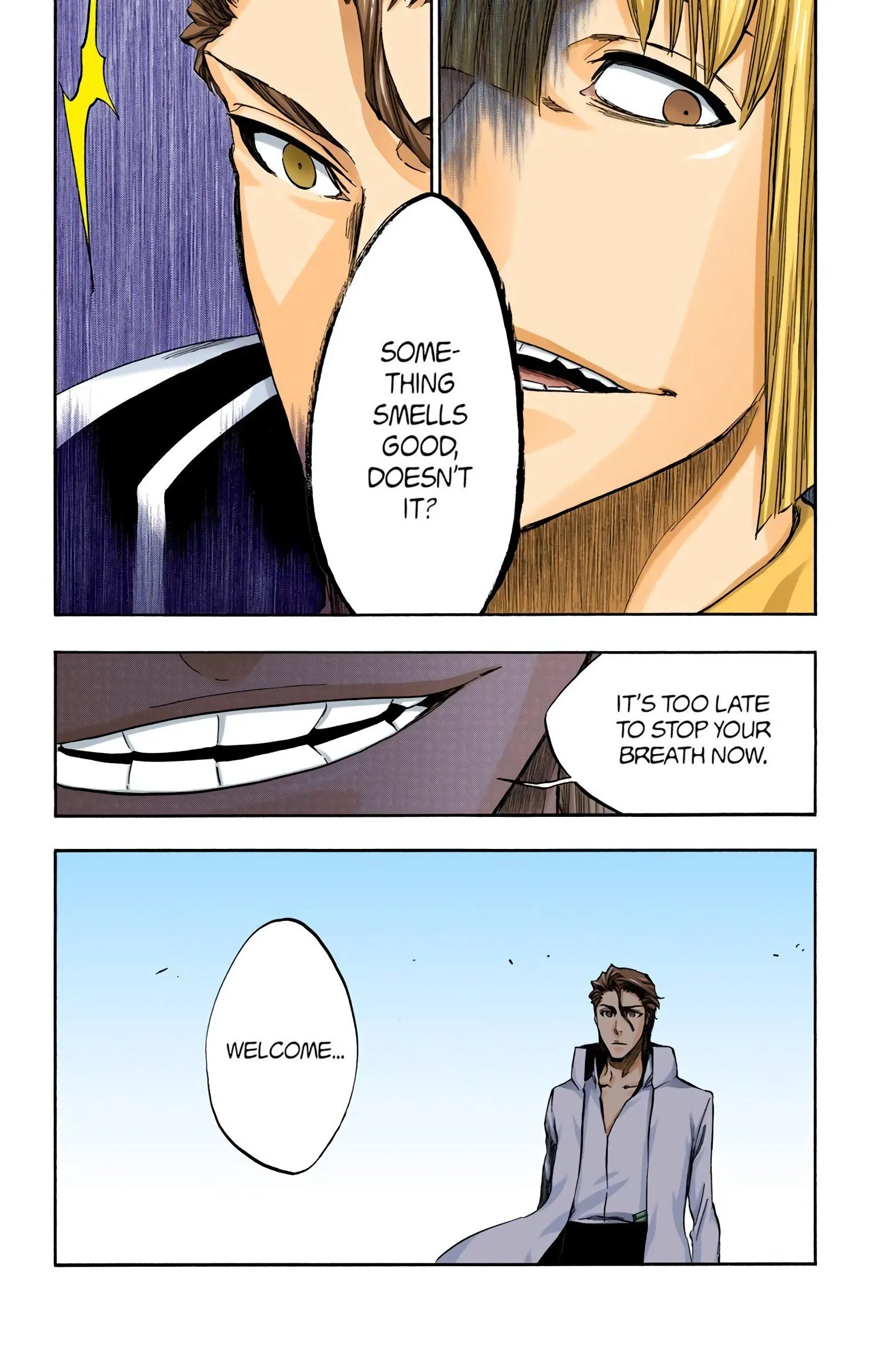 Read Bleach (Colored) EN Manga Online