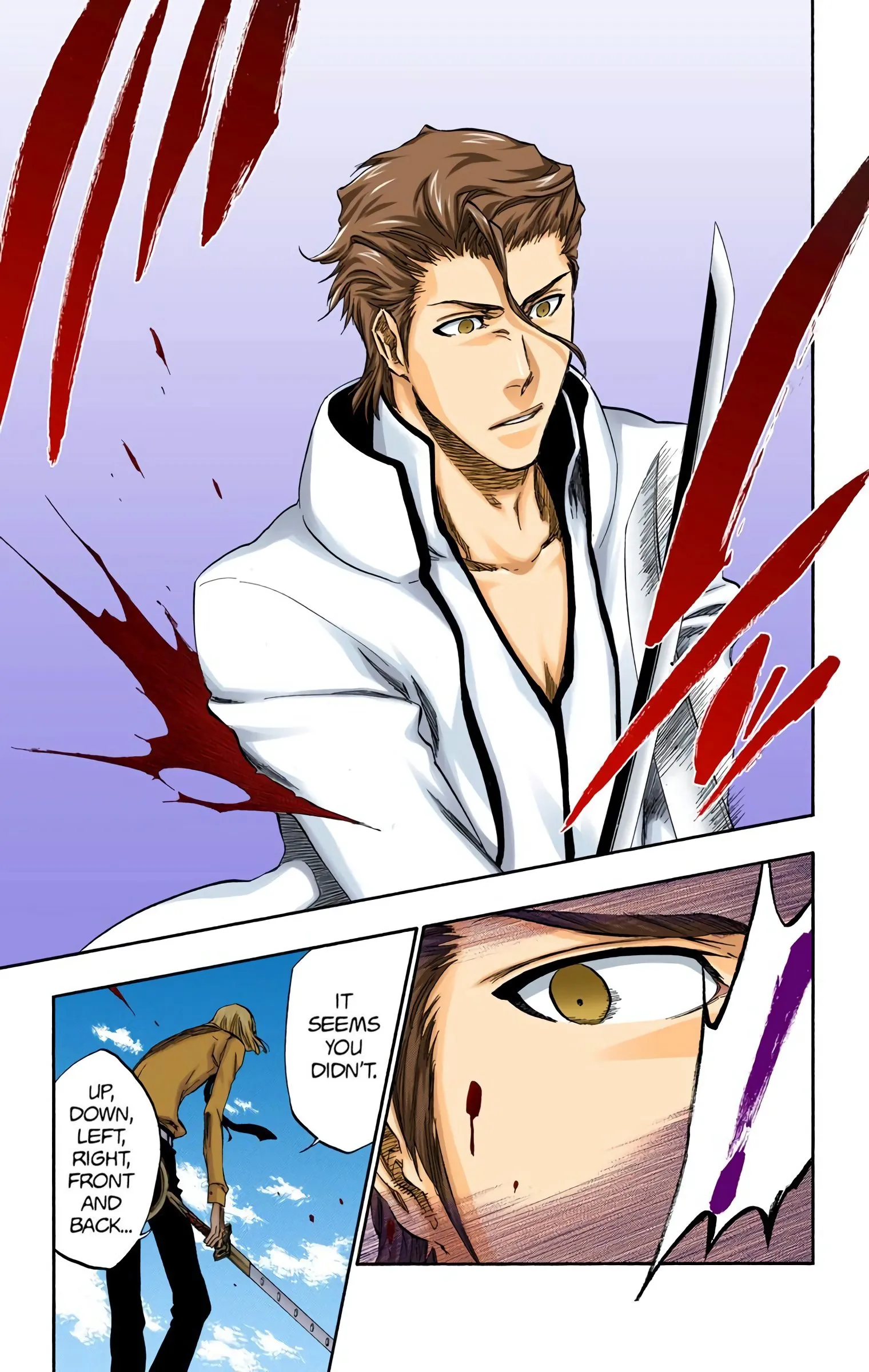 Read Bleach (Colored) EN Manga Online