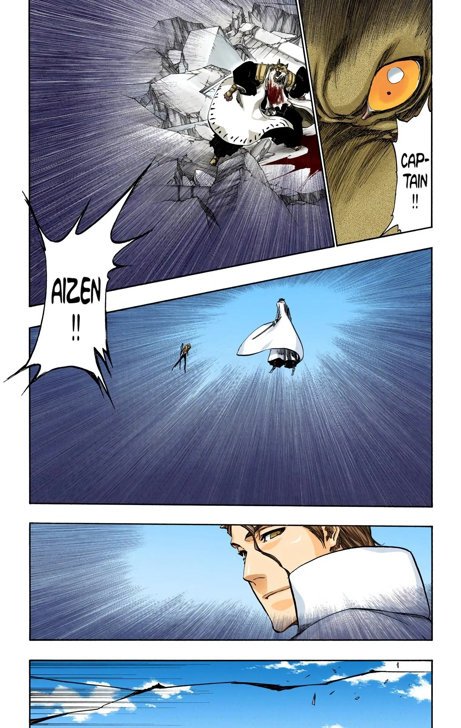 Read Bleach (Colored) EN Manga Online