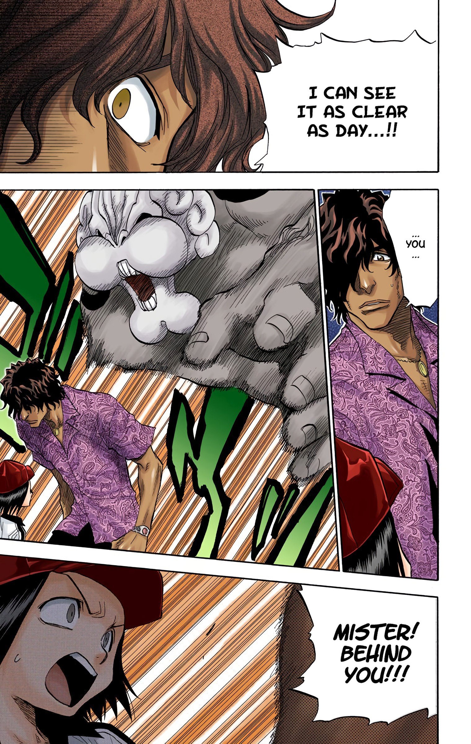 Read Bleach (Colored) EN Manga Online