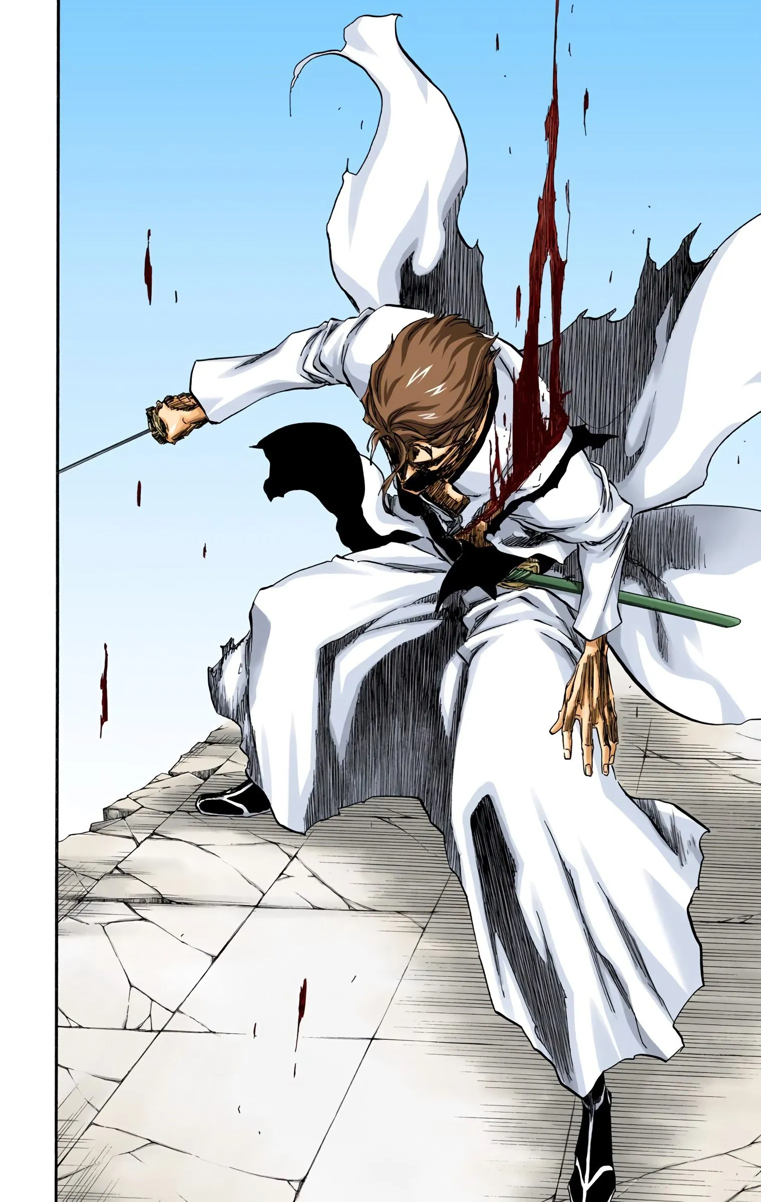 Read Bleach (Colored) EN Manga Online