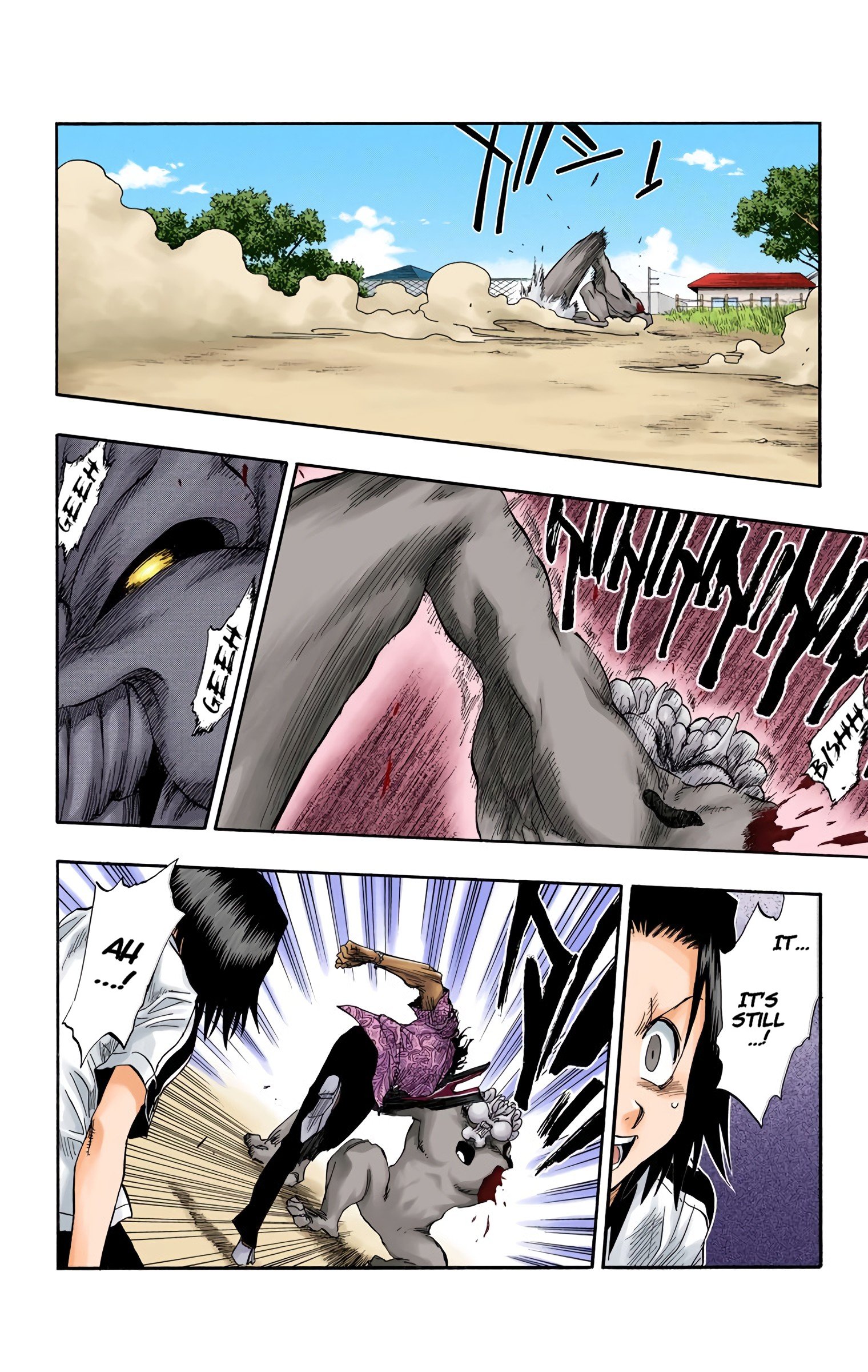 Read Bleach (Colored) EN Manga Online