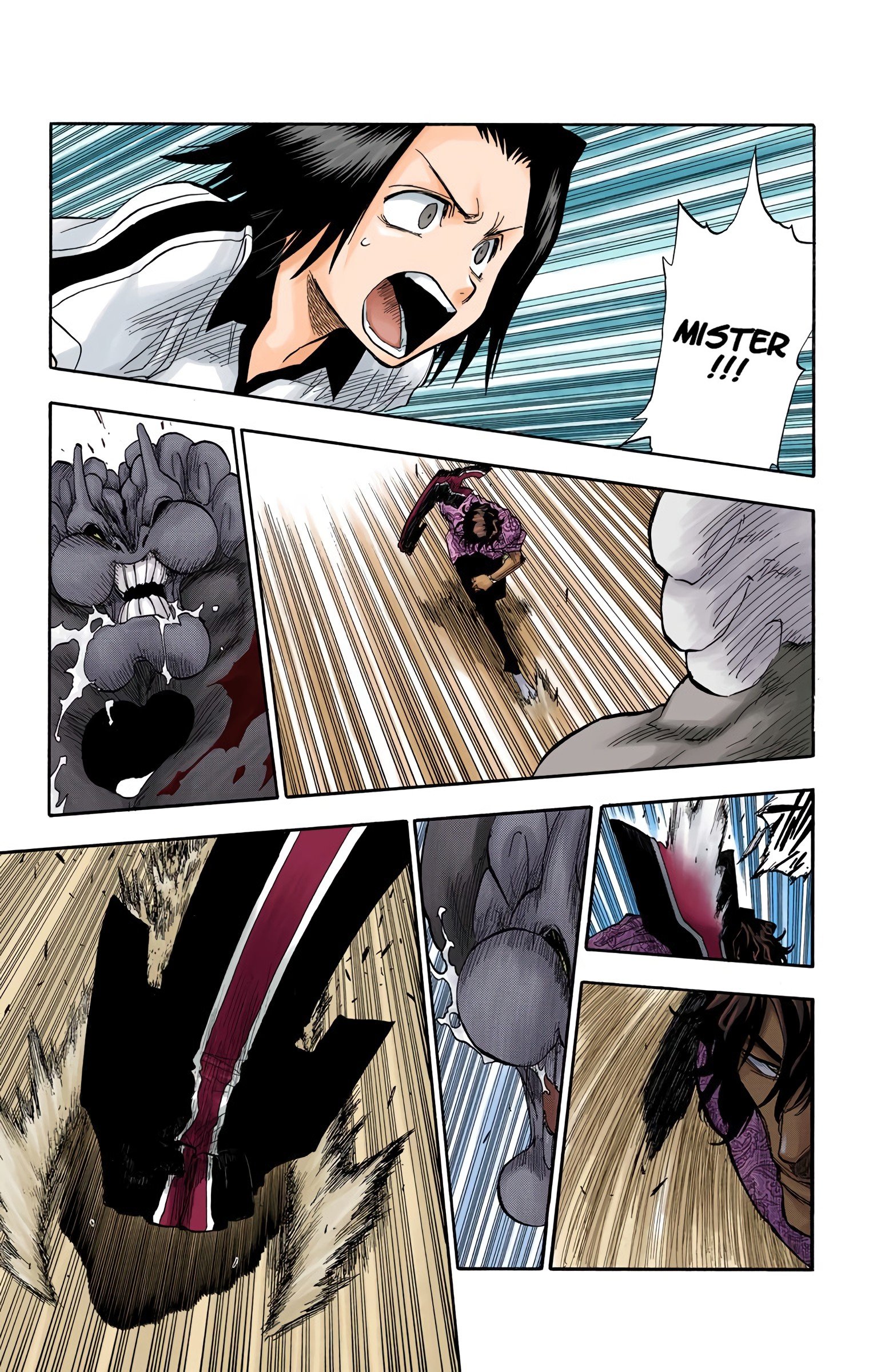 Read Bleach (Colored) EN Manga Online