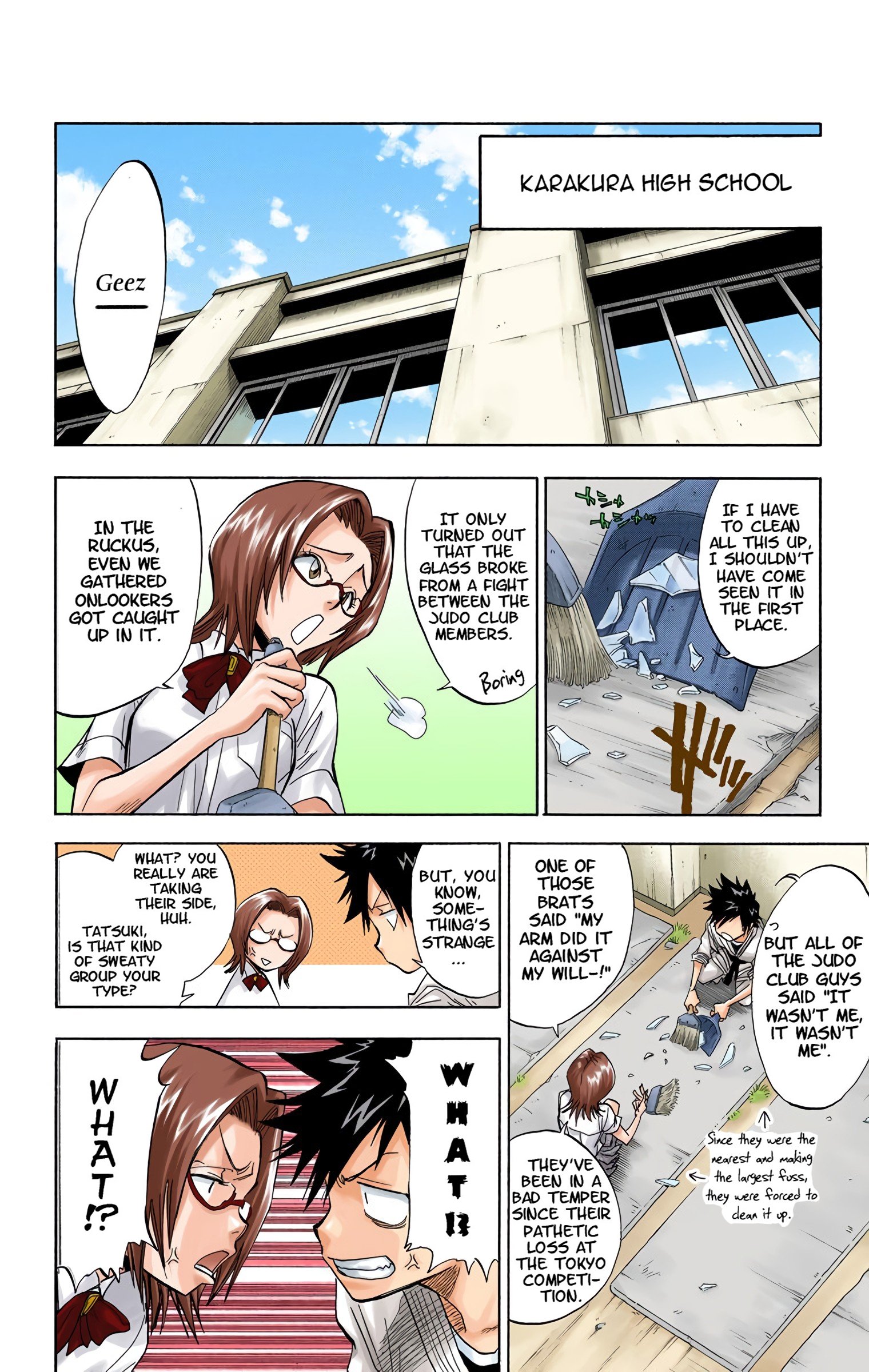 Read Bleach (Colored) EN Manga Online