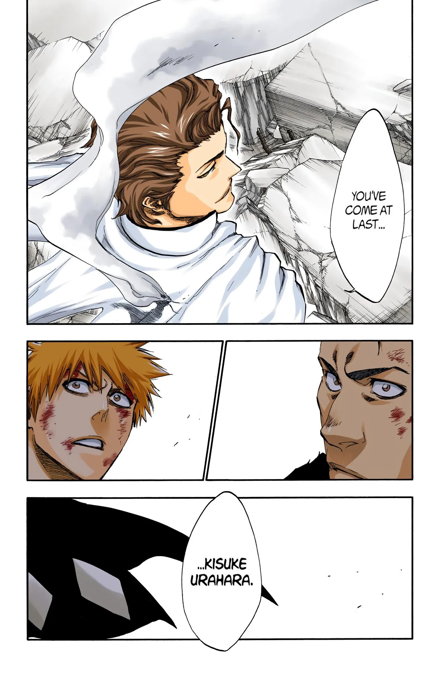 Read Bleach (Colored) EN Manga Online