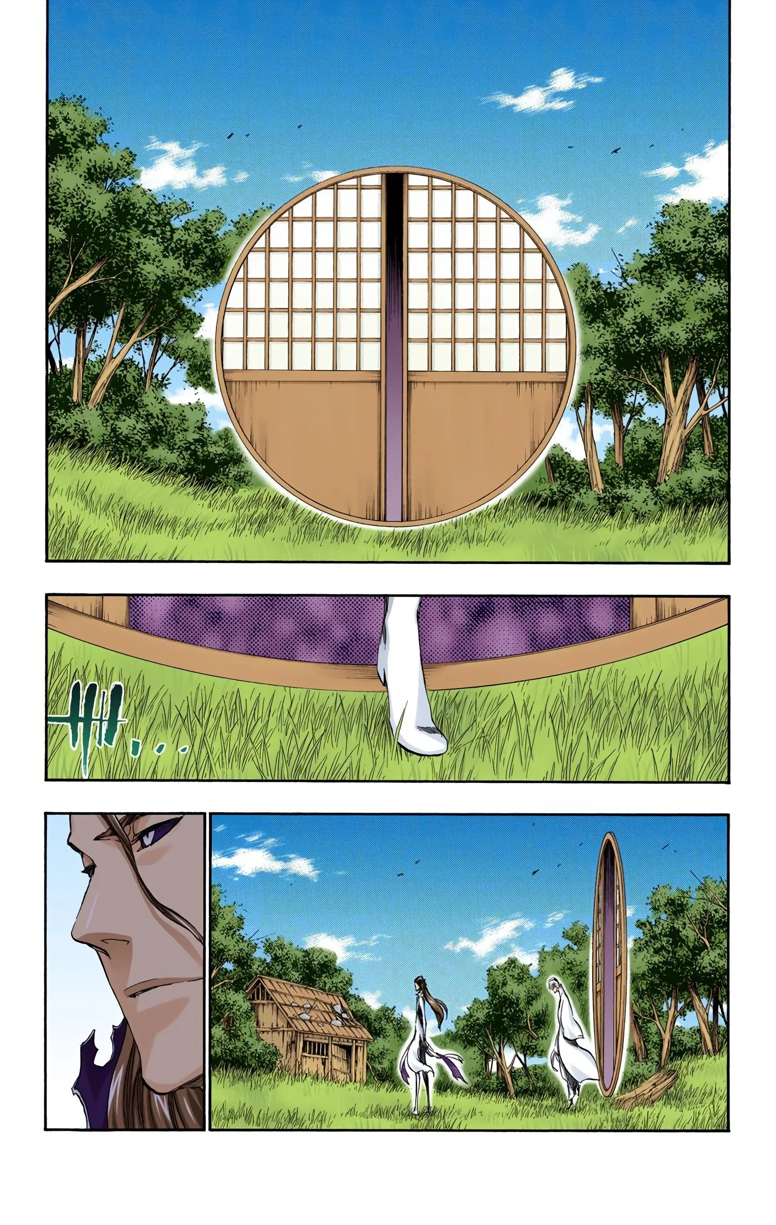 Read Bleach (Colored) EN Manga Online