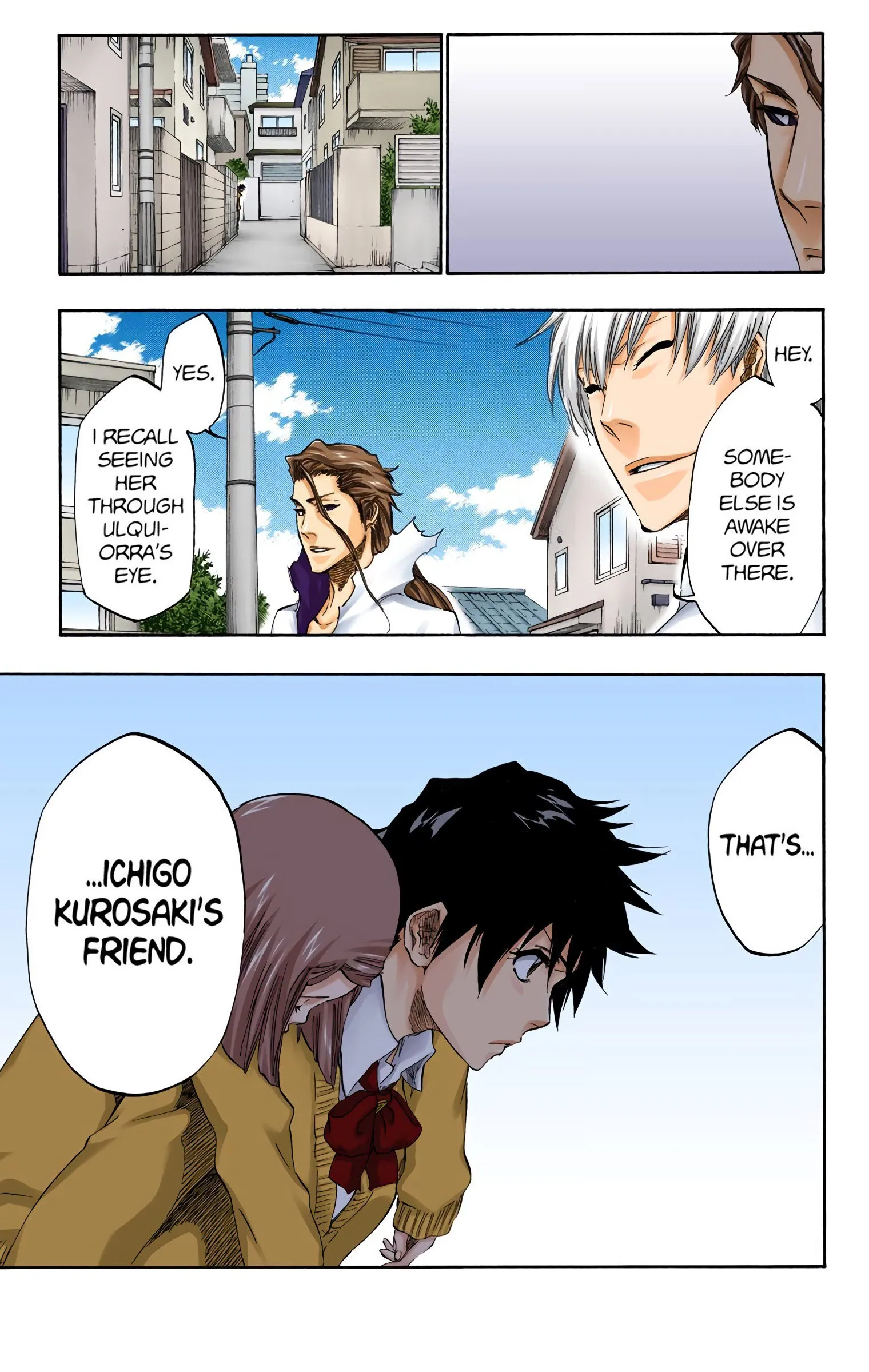 Read Bleach (Colored) EN Manga Online