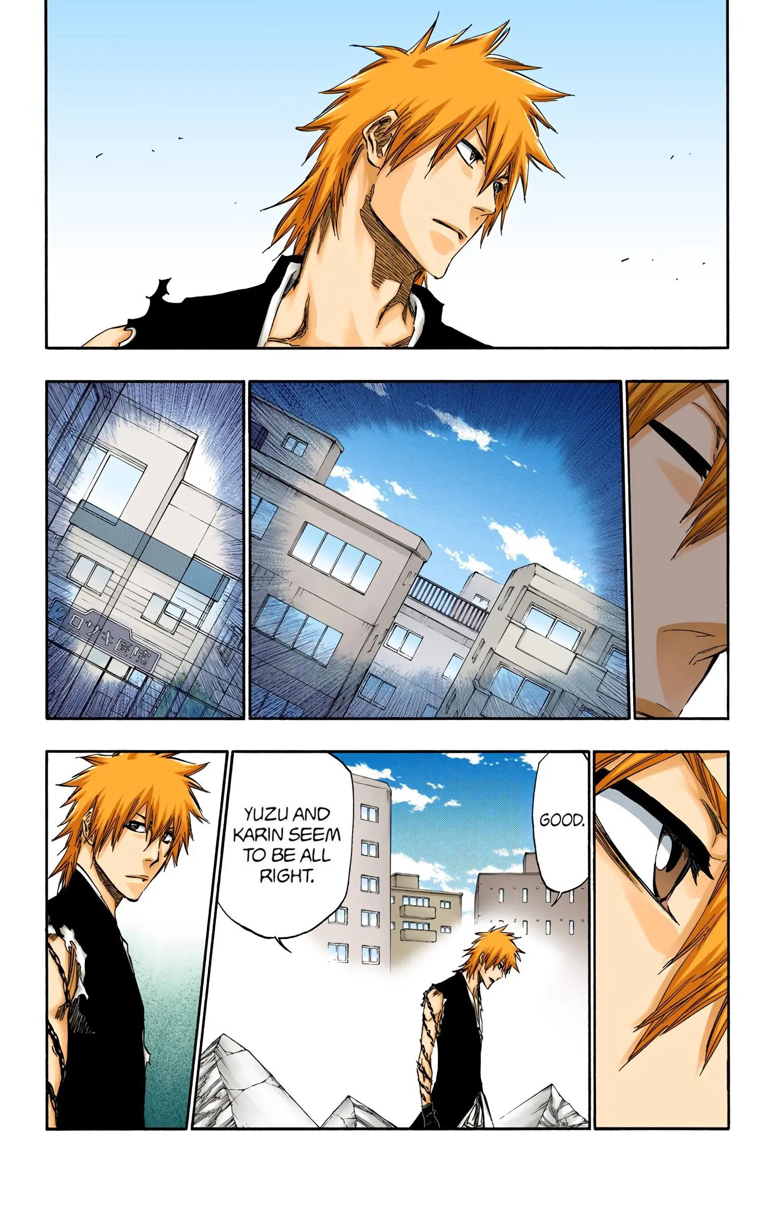 Read Bleach (Colored) EN Manga Online