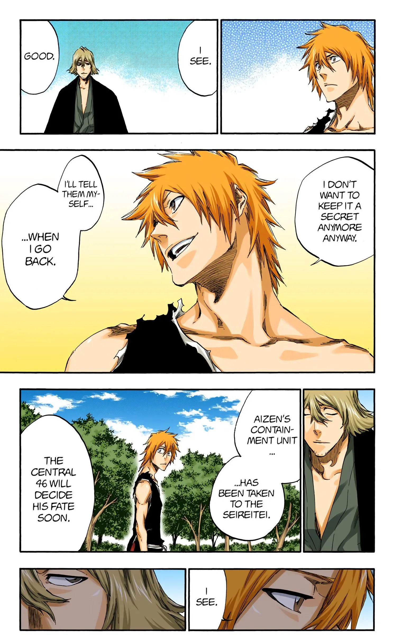 Read Bleach (Colored) EN Manga Online