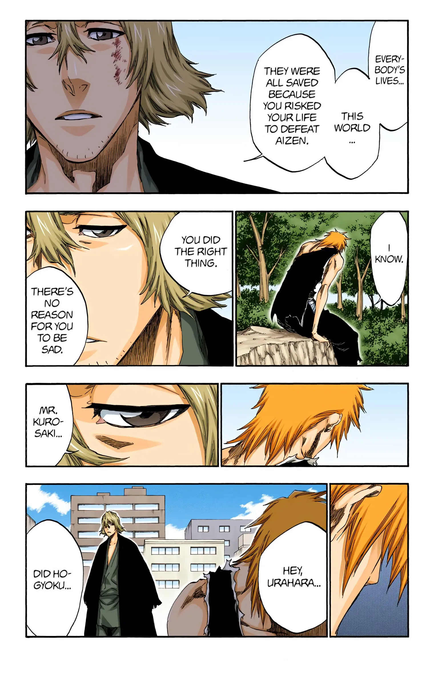 Read Bleach (Colored) EN Manga Online