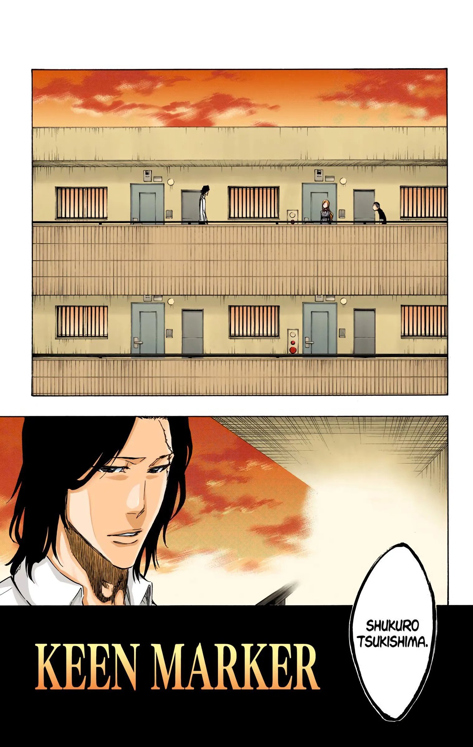 Read Bleach (Colored) EN Manga Online