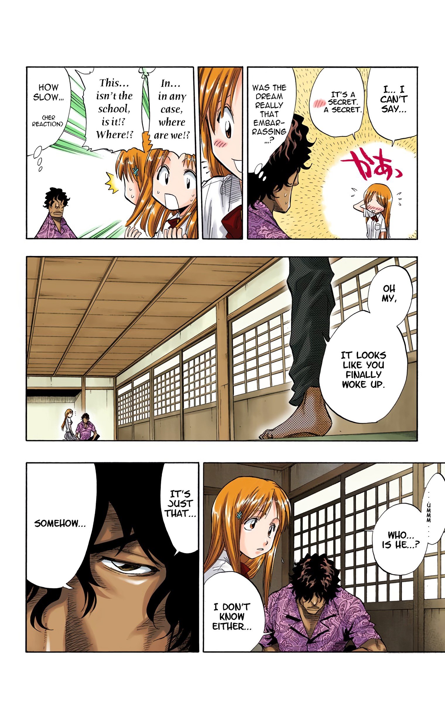 Read Bleach (Colored) EN Manga Online