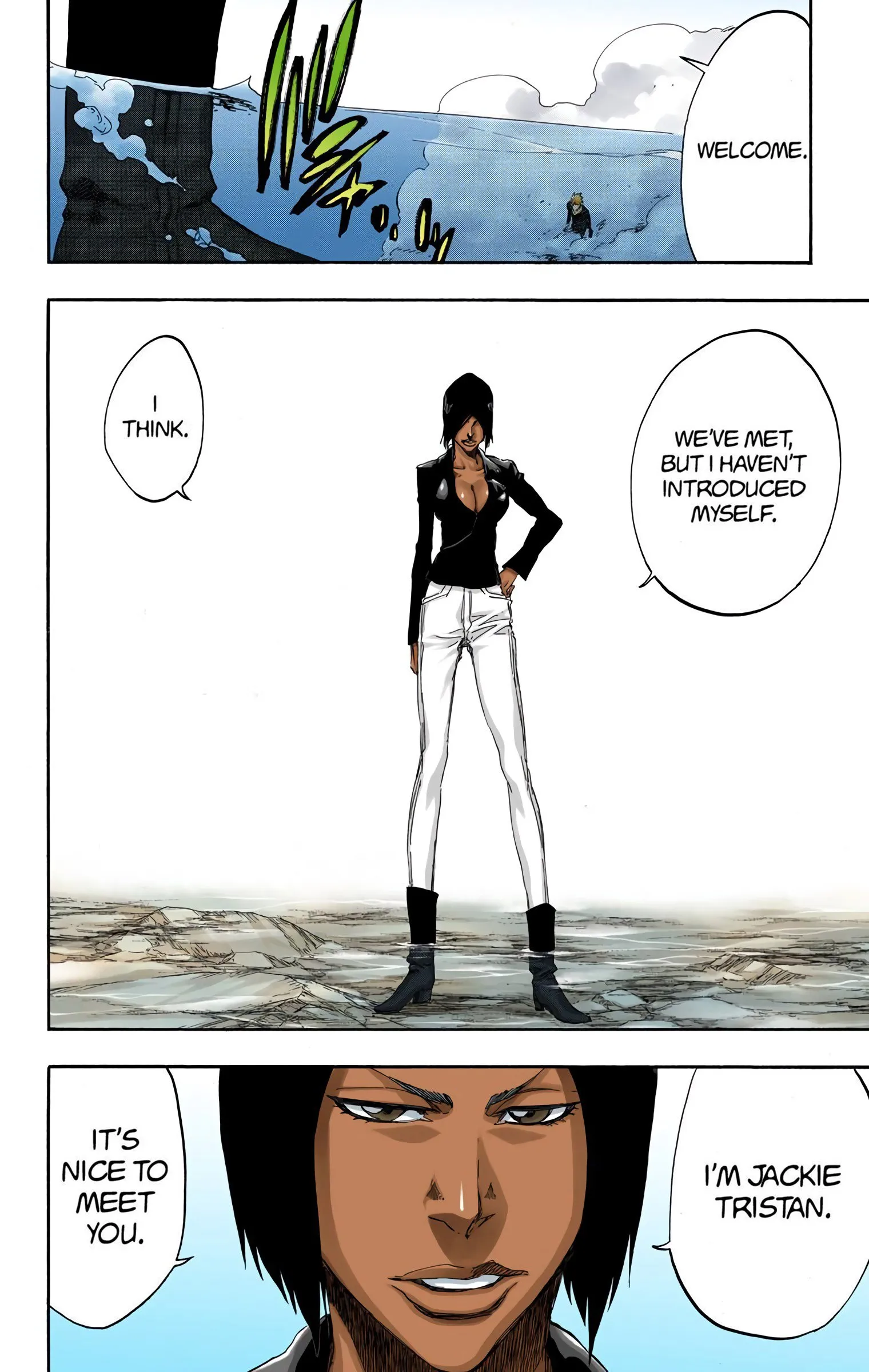 Read Bleach (Colored) EN Manga Online