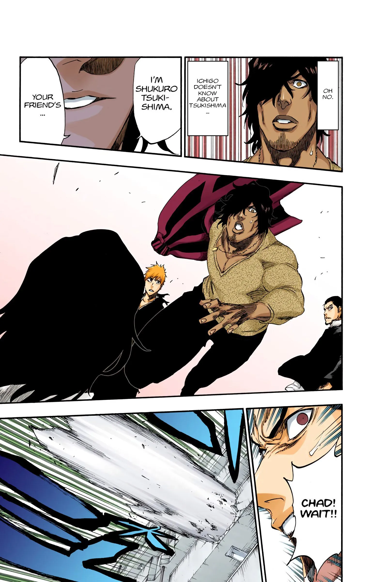 Read Bleach (Colored) EN Manga Online