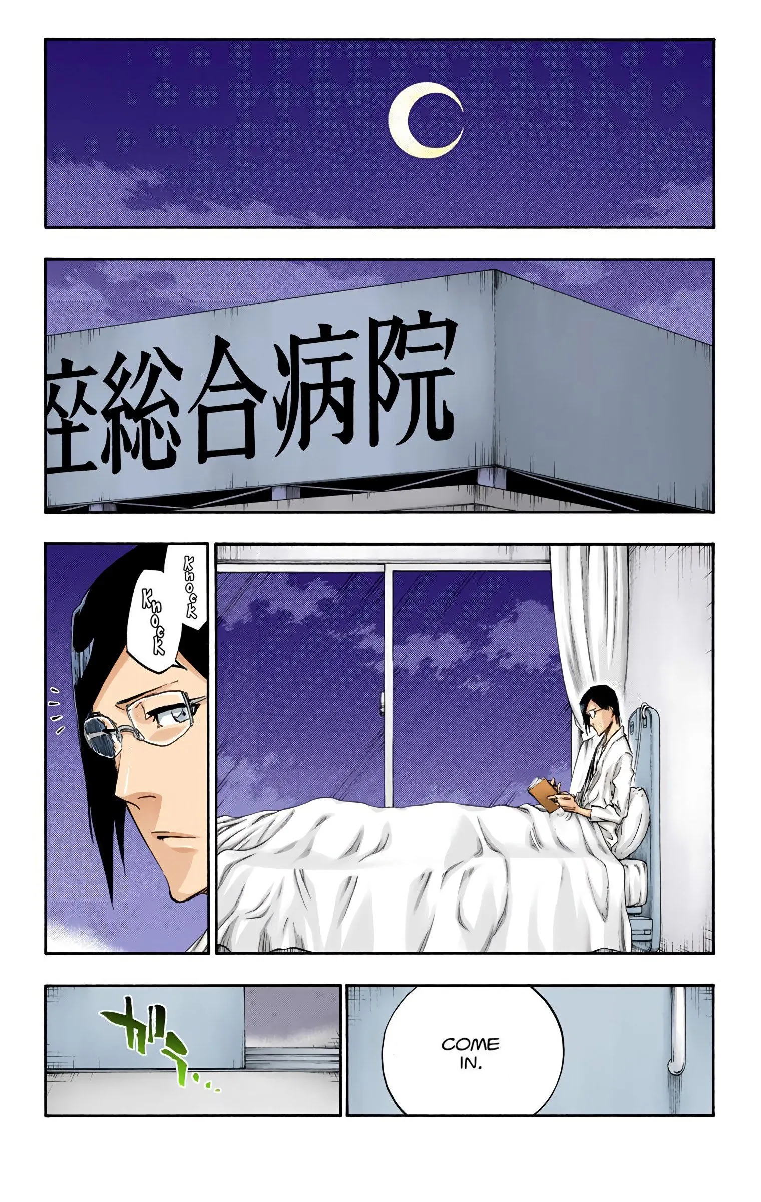 Read Bleach (Colored) EN Manga Online