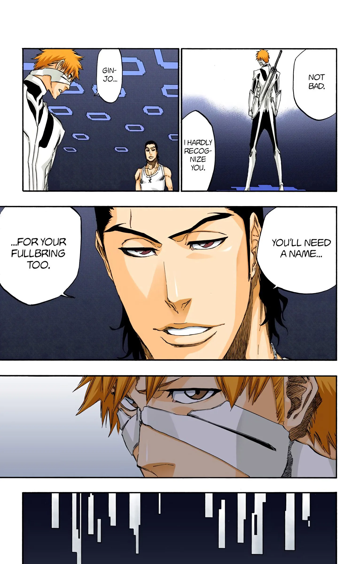 Read Bleach (Colored) EN Manga Online