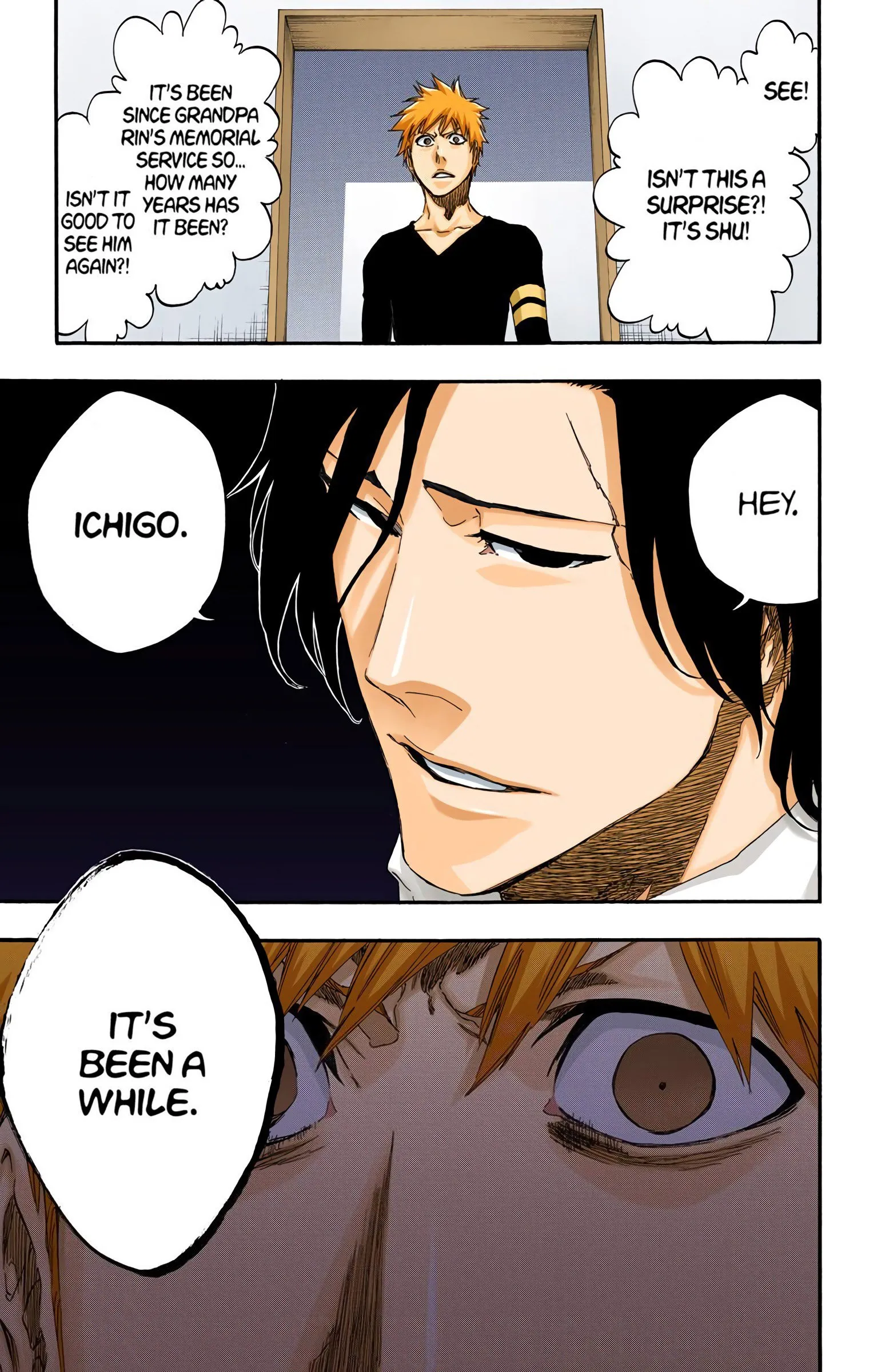 Read Bleach (Colored) EN Manga Online