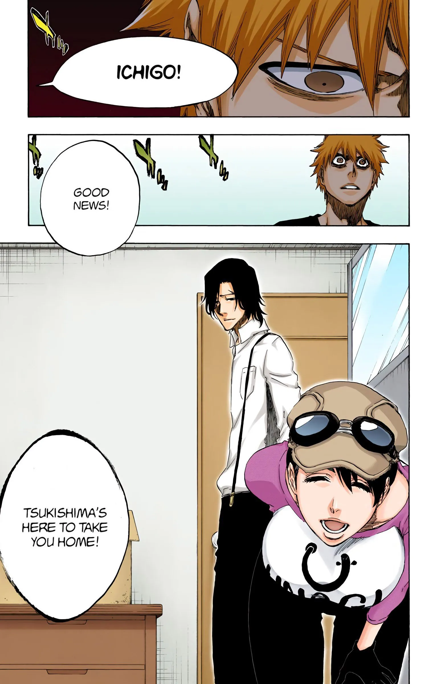 Read Bleach (Colored) EN Manga Online