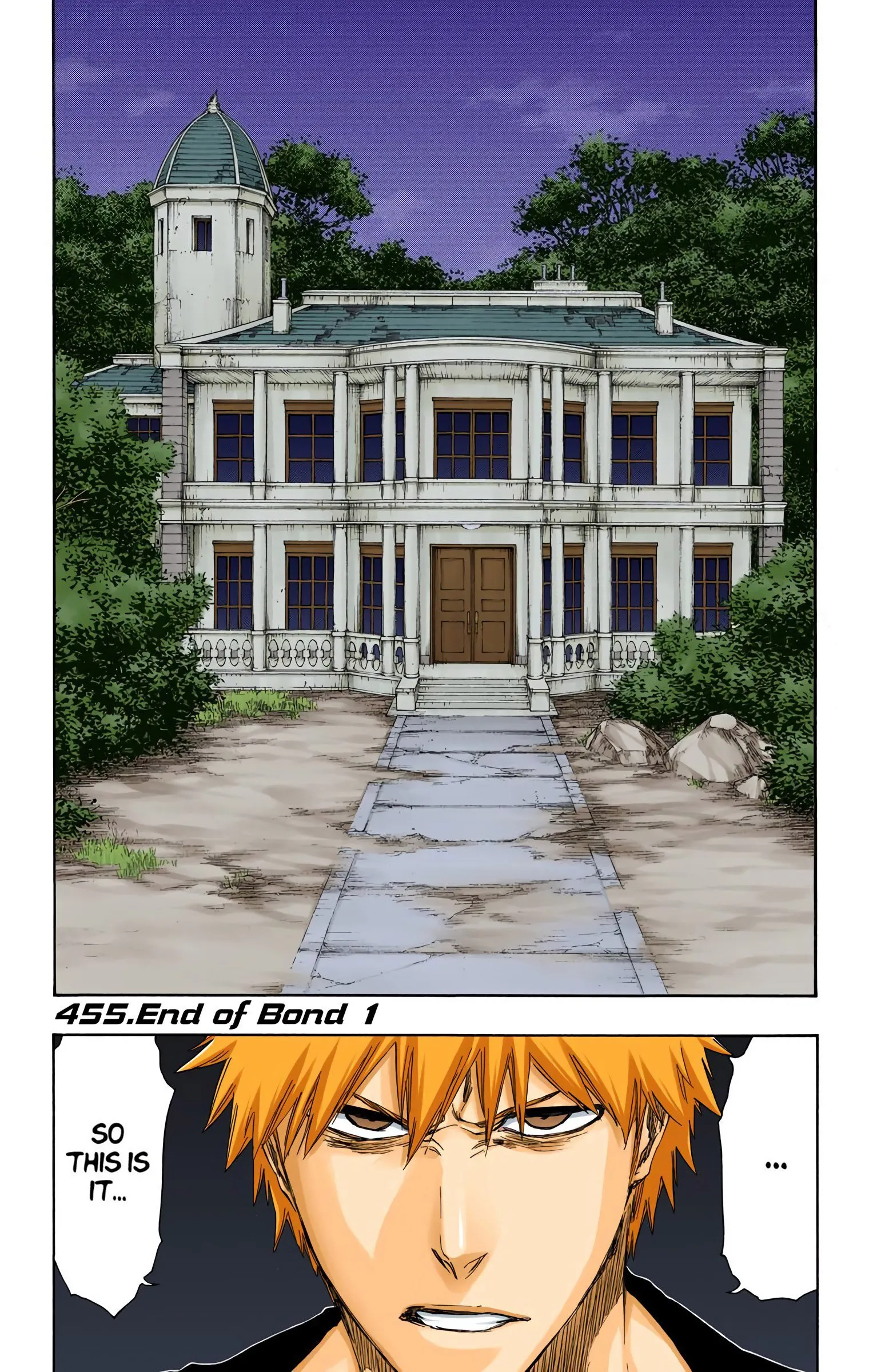 Read Bleach (Colored) EN Manga Online