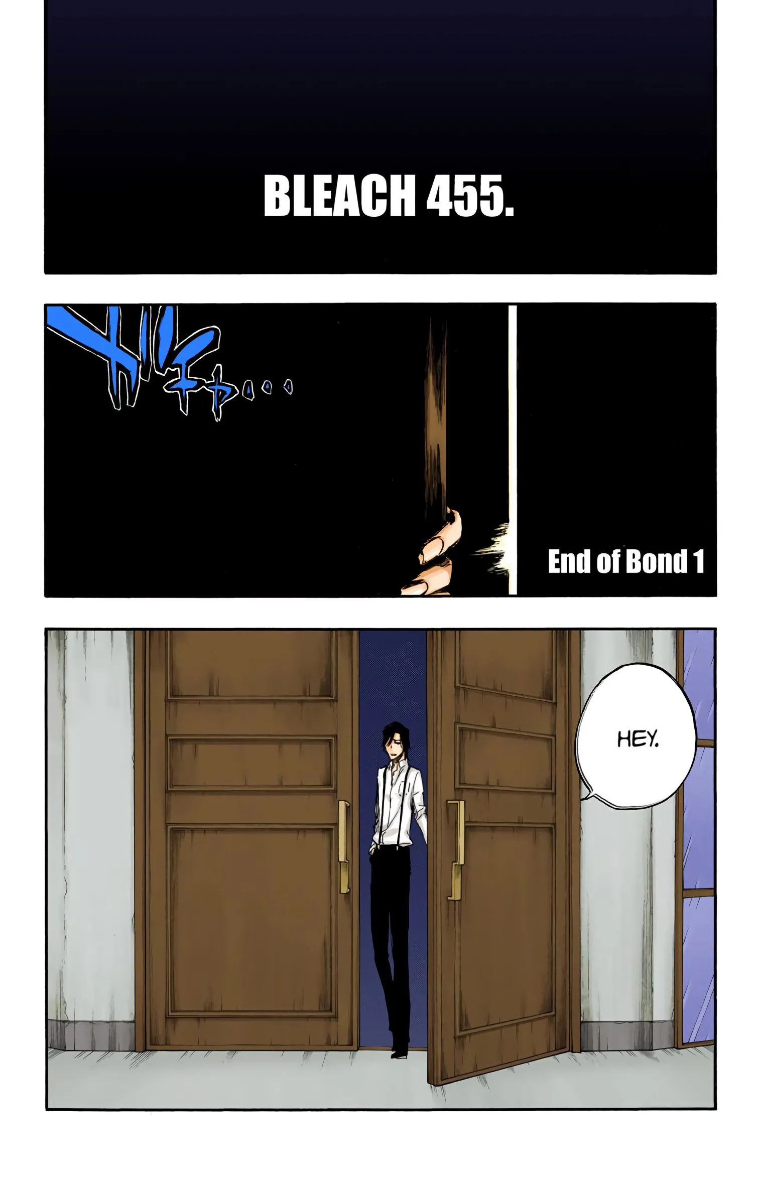Read Bleach (Colored) EN Manga Online