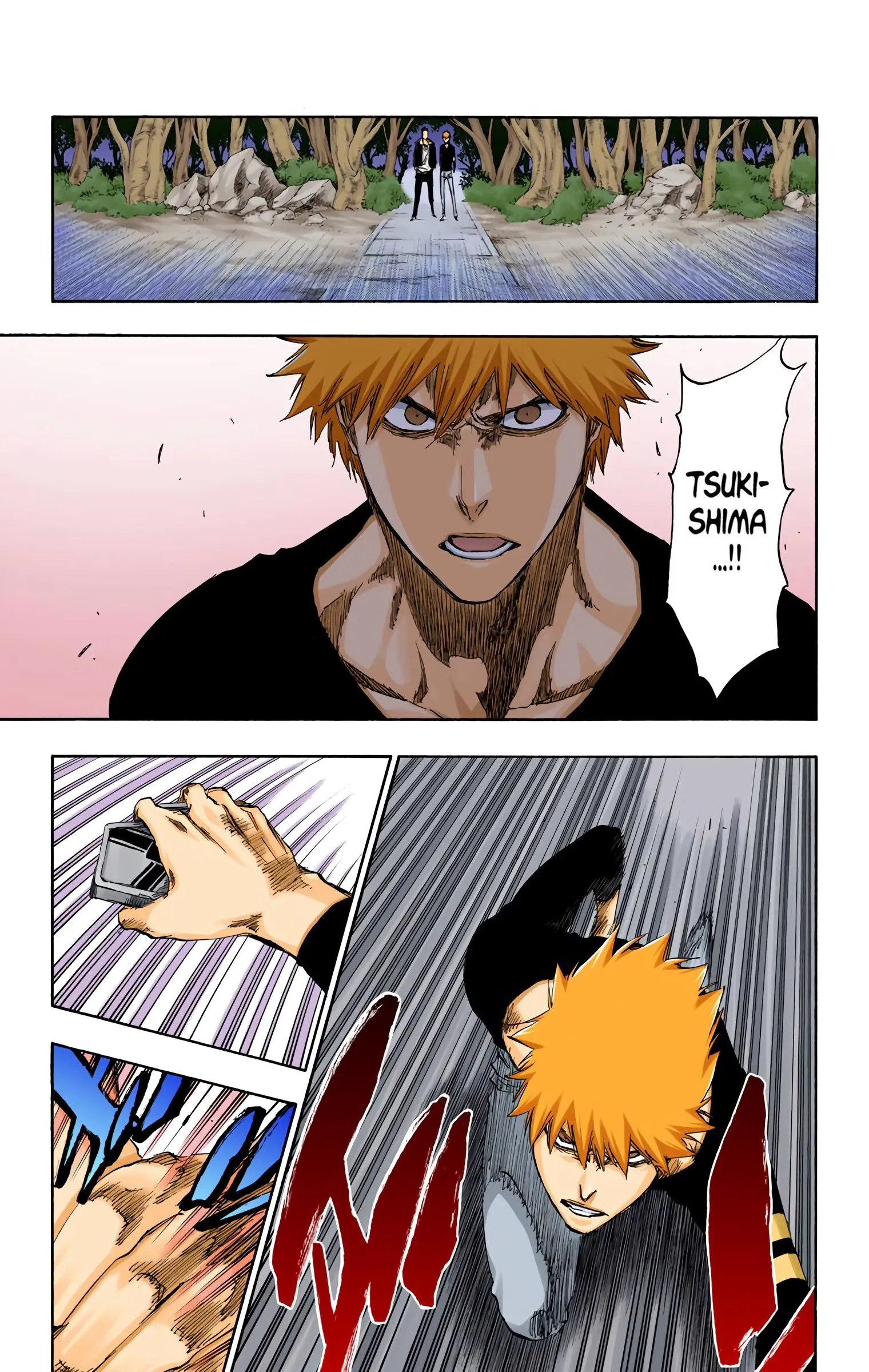 Read Bleach (Colored) EN Manga Online