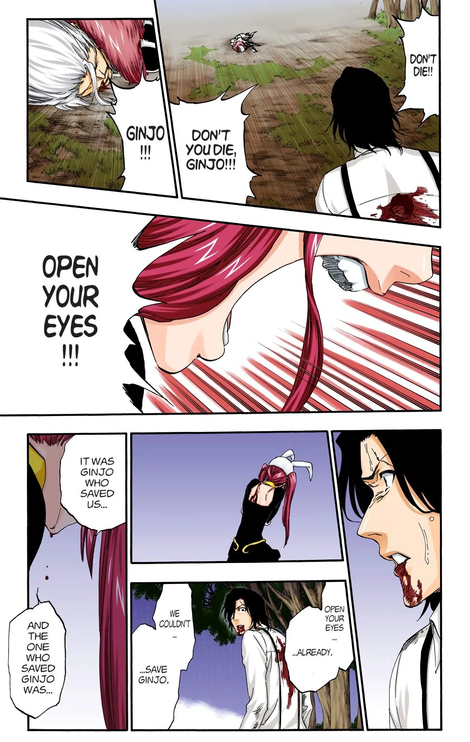 Read Bleach (Colored) EN Manga Online