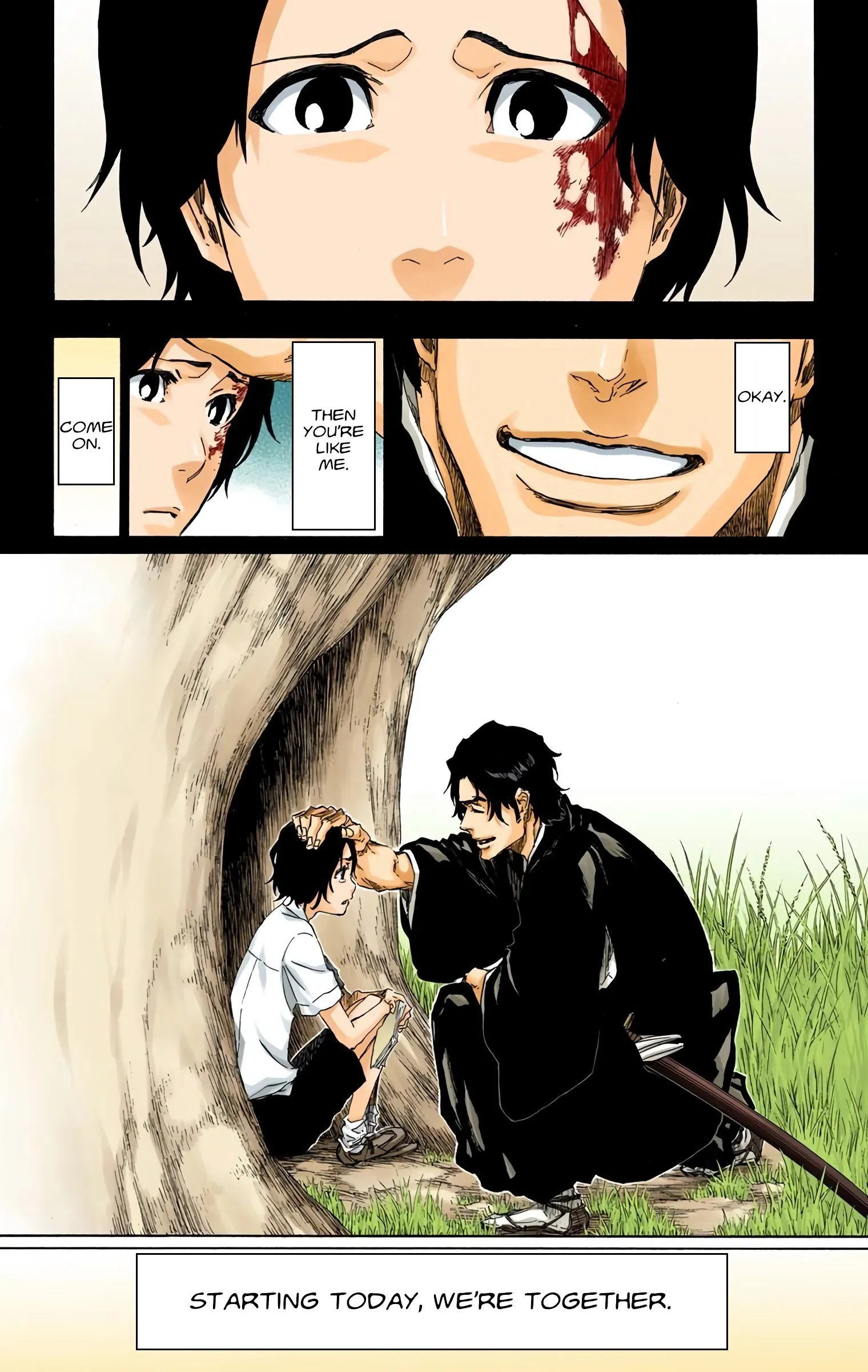 Read Bleach (Colored) EN Manga Online
