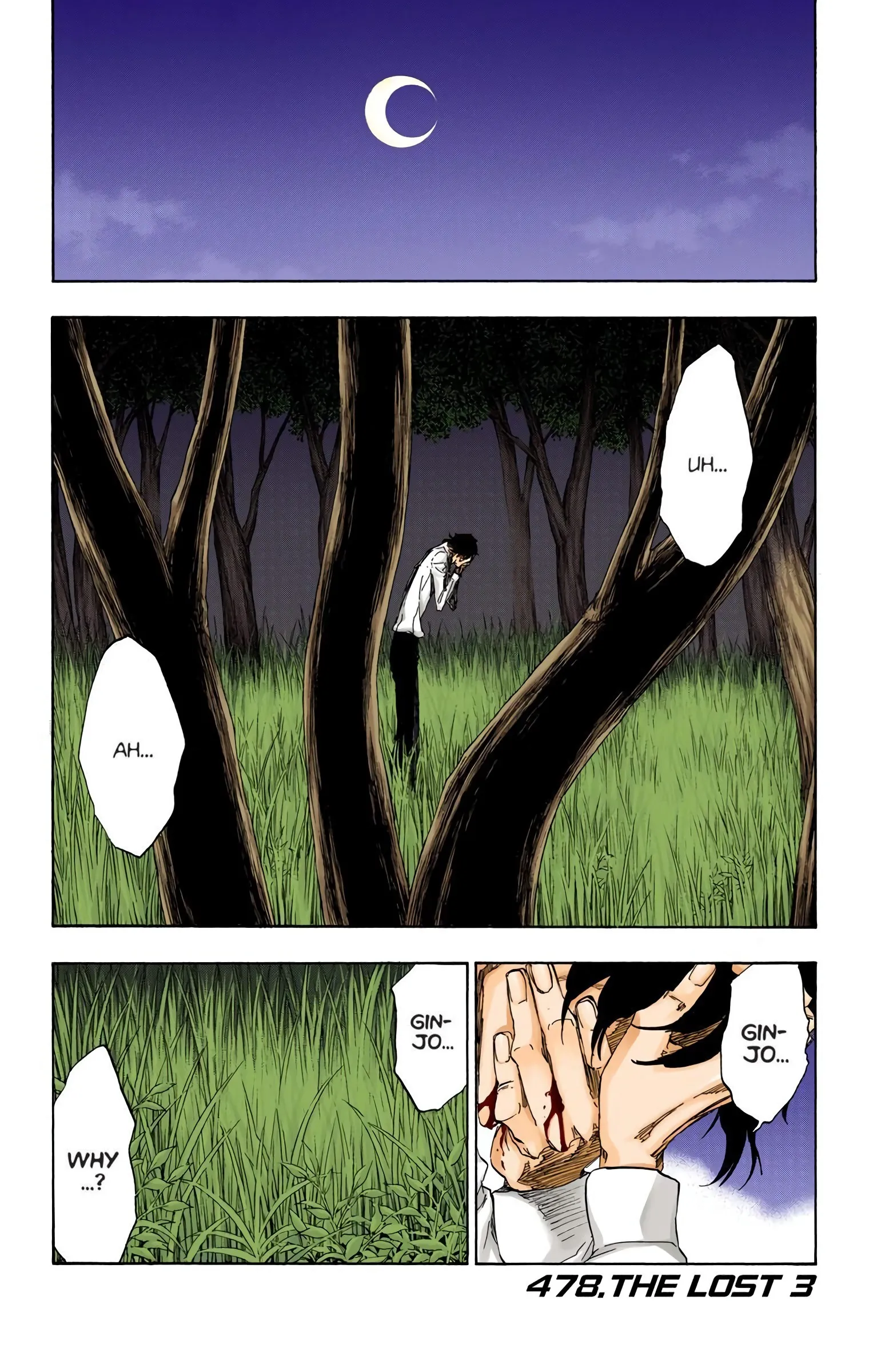 Read Bleach (Colored) EN Manga Online