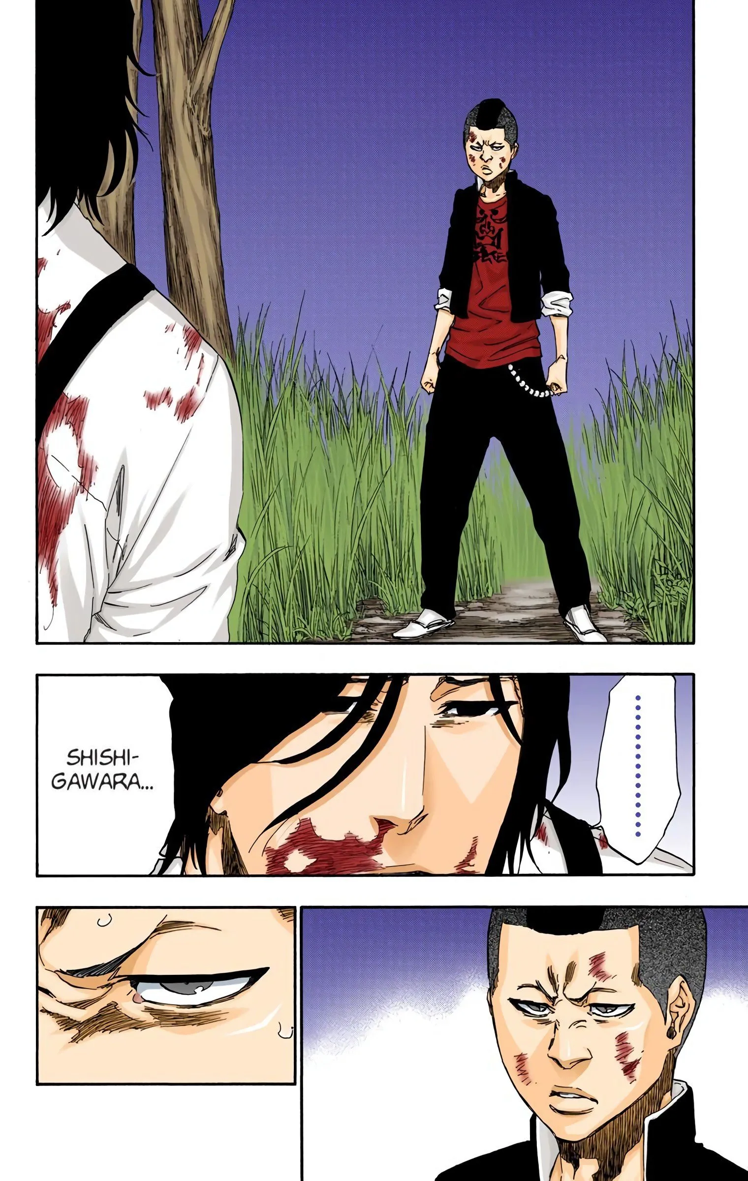 Read Bleach (Colored) EN Manga Online