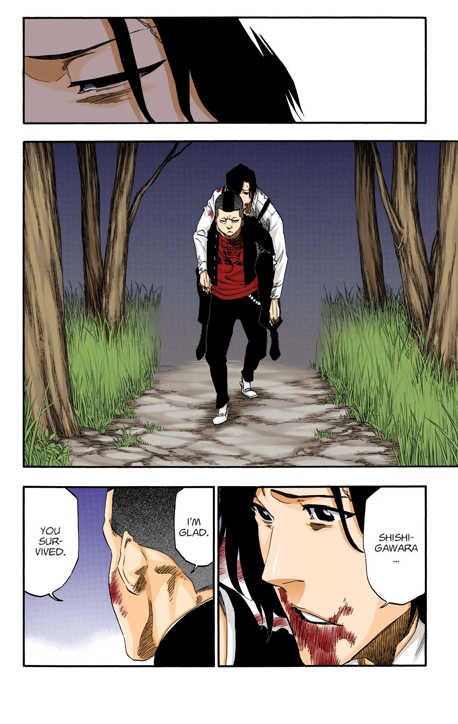 Read Bleach (Colored) EN Manga Online