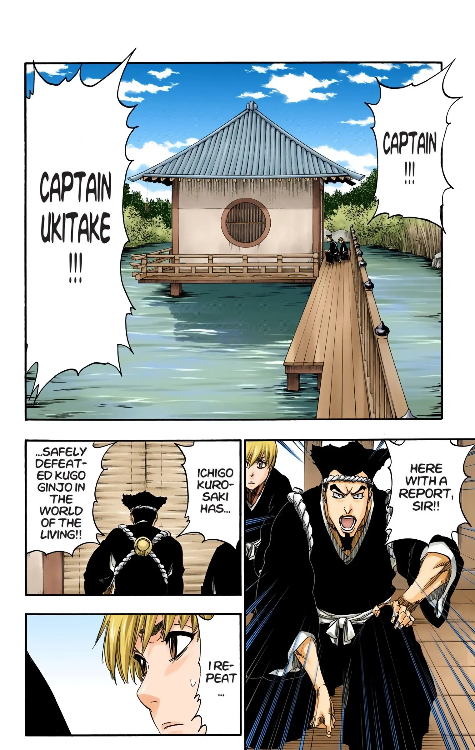 Read Bleach (Colored) EN Manga Online