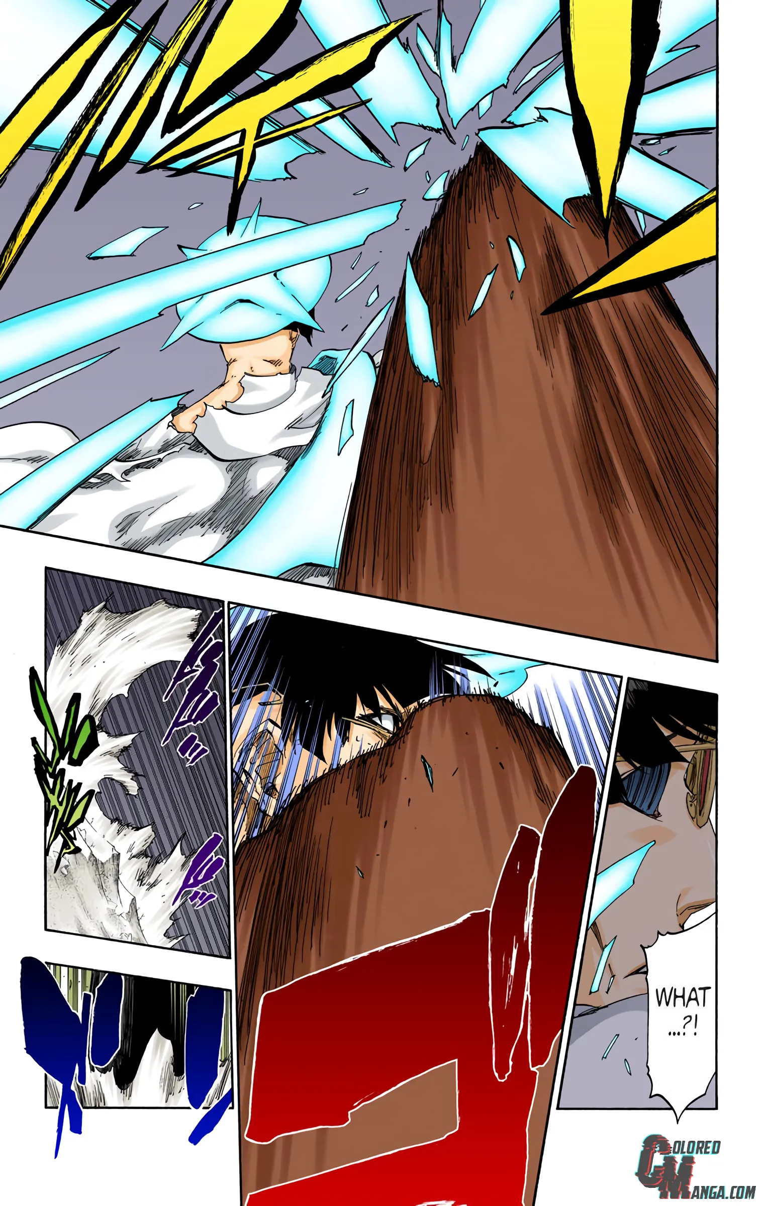 Read Bleach (Colored) EN Manga Online