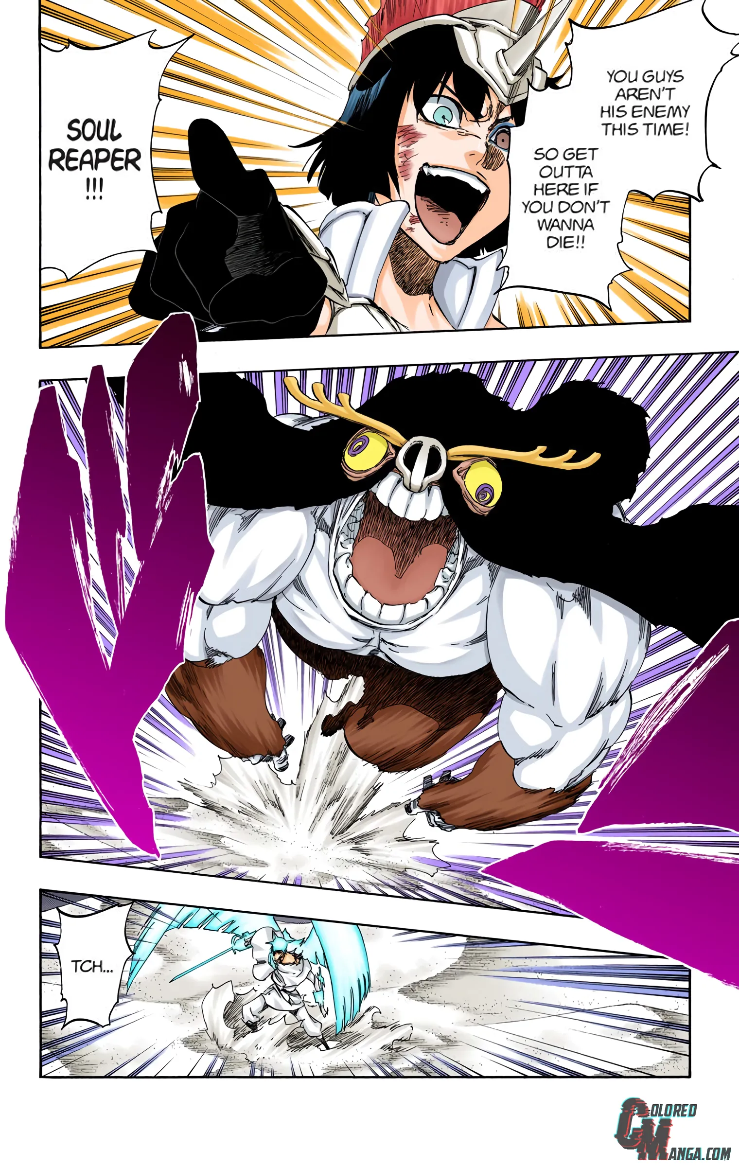 Read Bleach (Colored) EN Manga Online