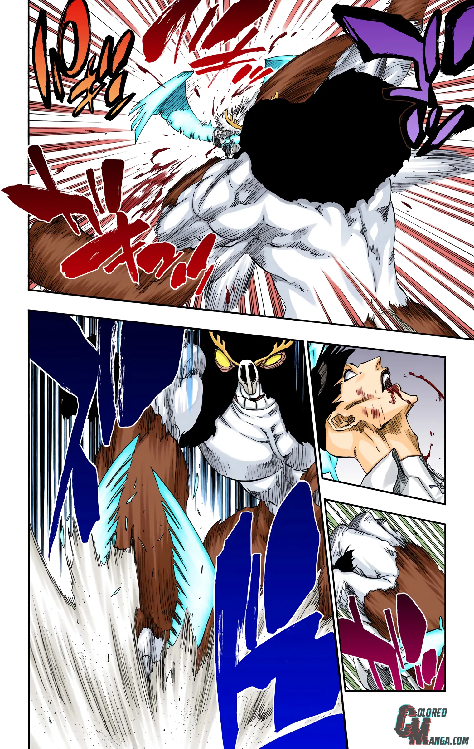 Read Bleach (Colored) EN Manga Online