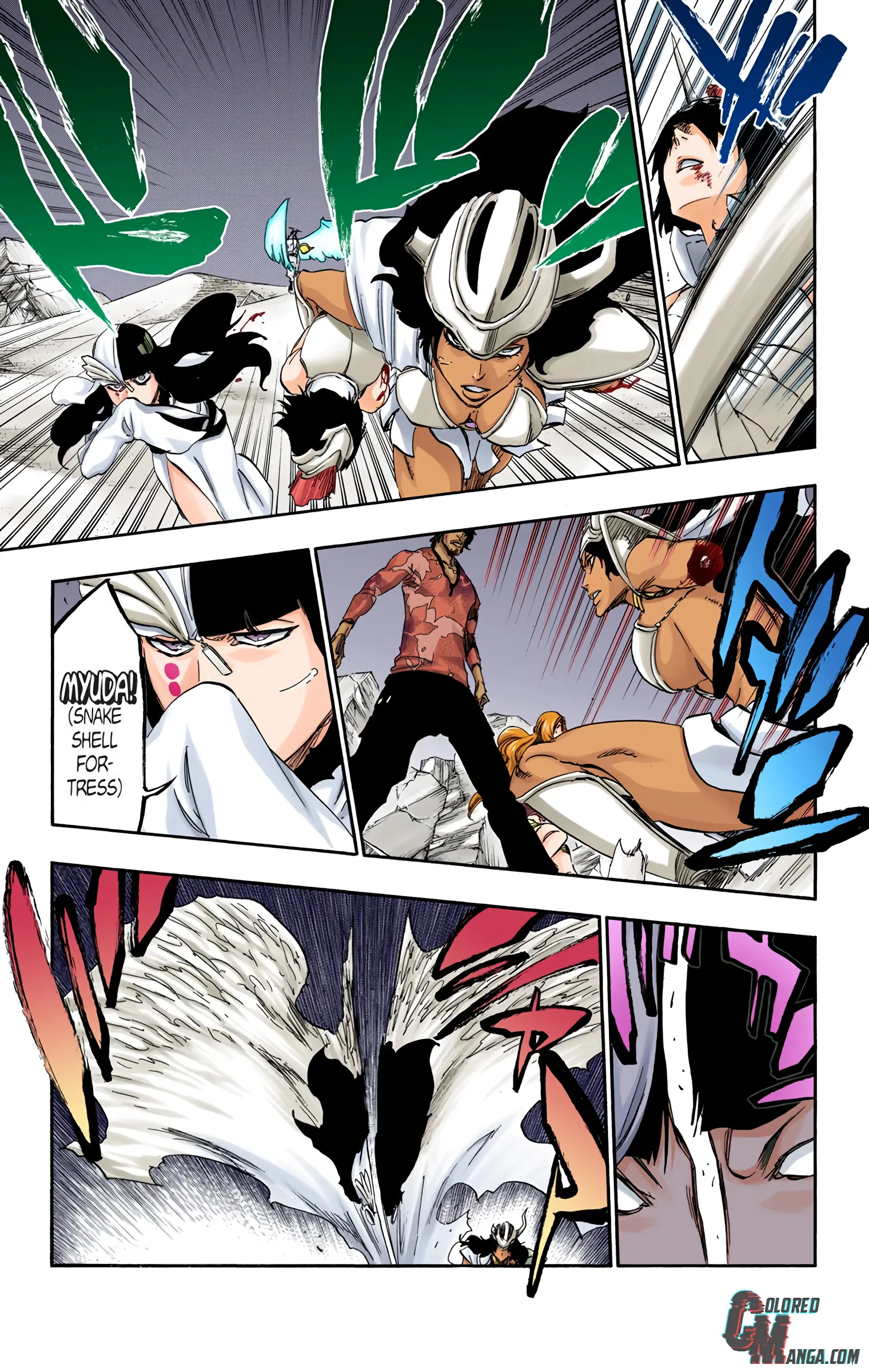 Read Bleach (Colored) EN Manga Online
