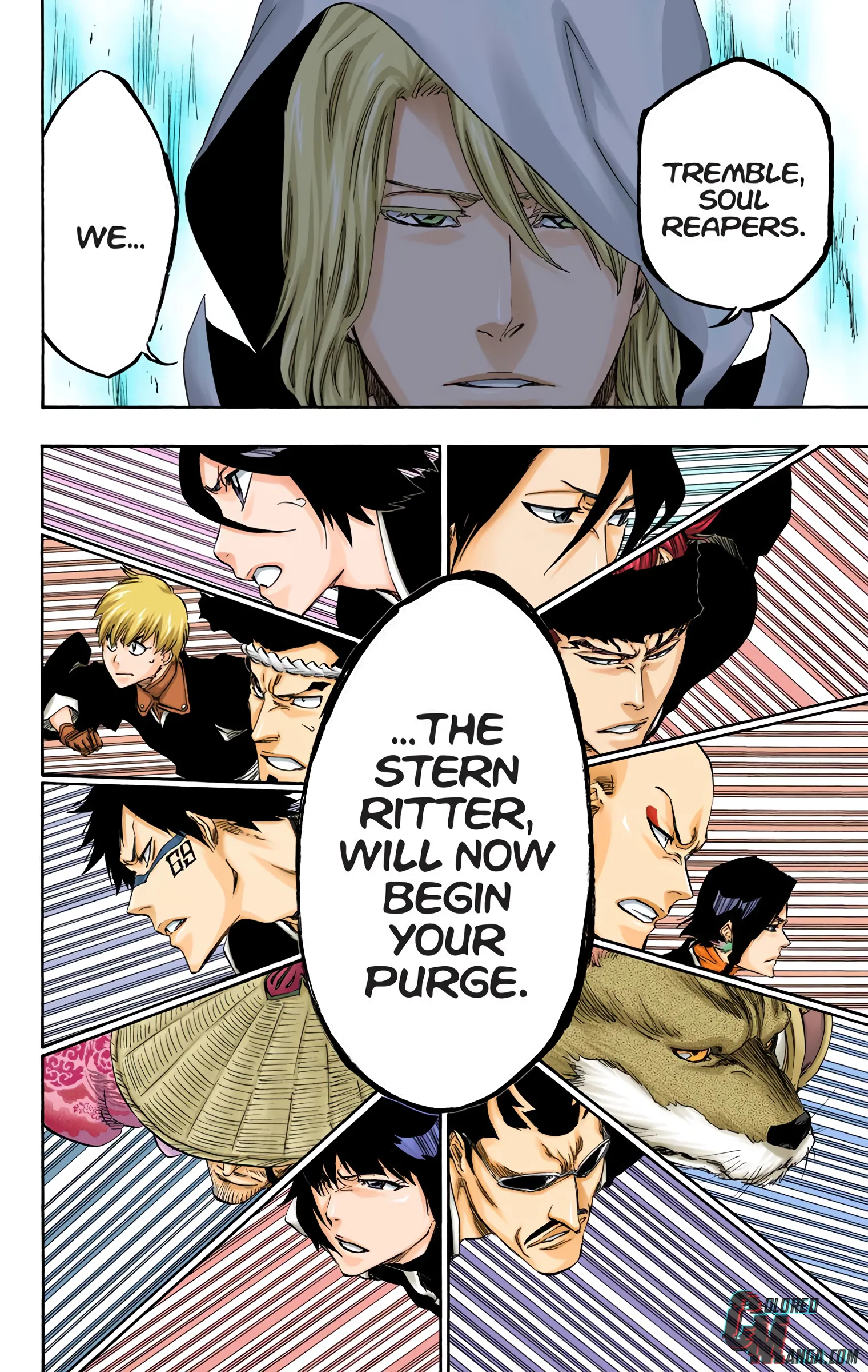 Read Bleach (Colored) EN Manga Online