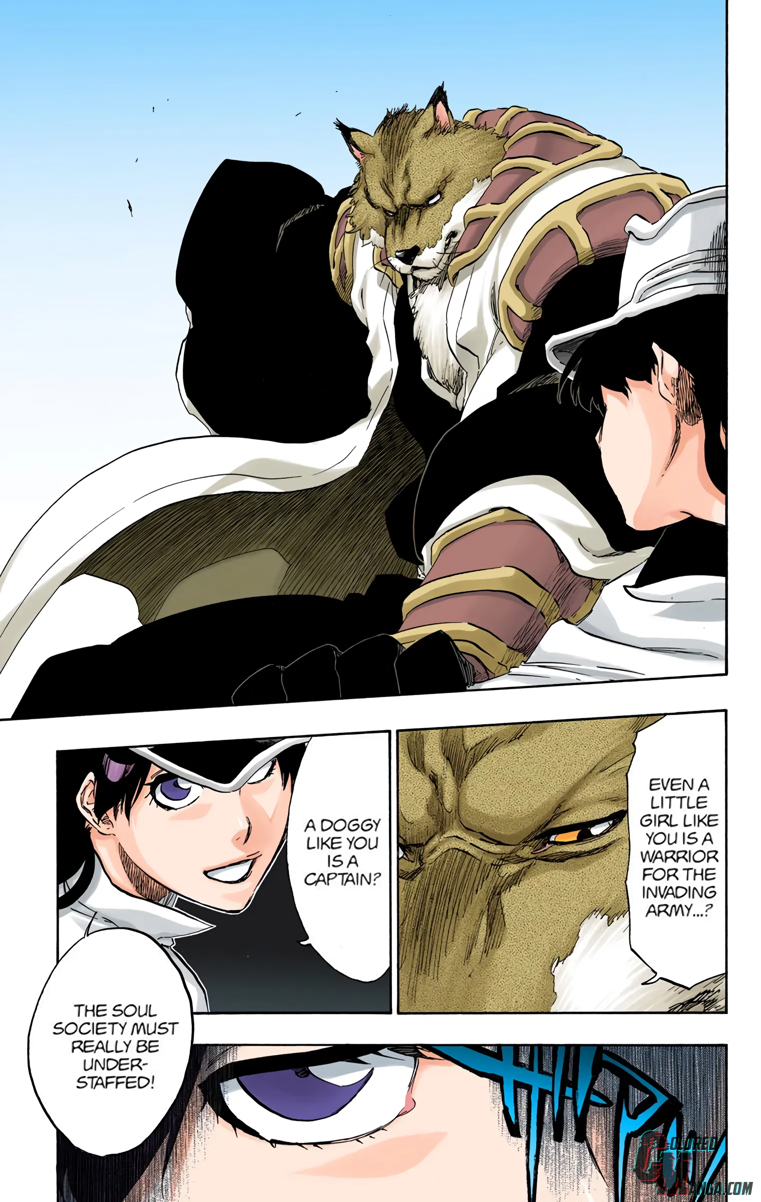 Read Bleach (Colored) EN Manga Online
