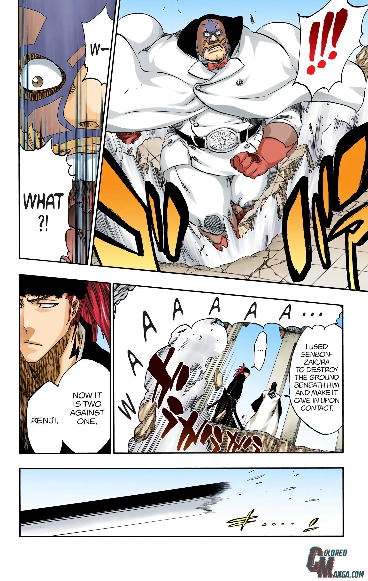 Read Bleach (Colored) EN Manga Online