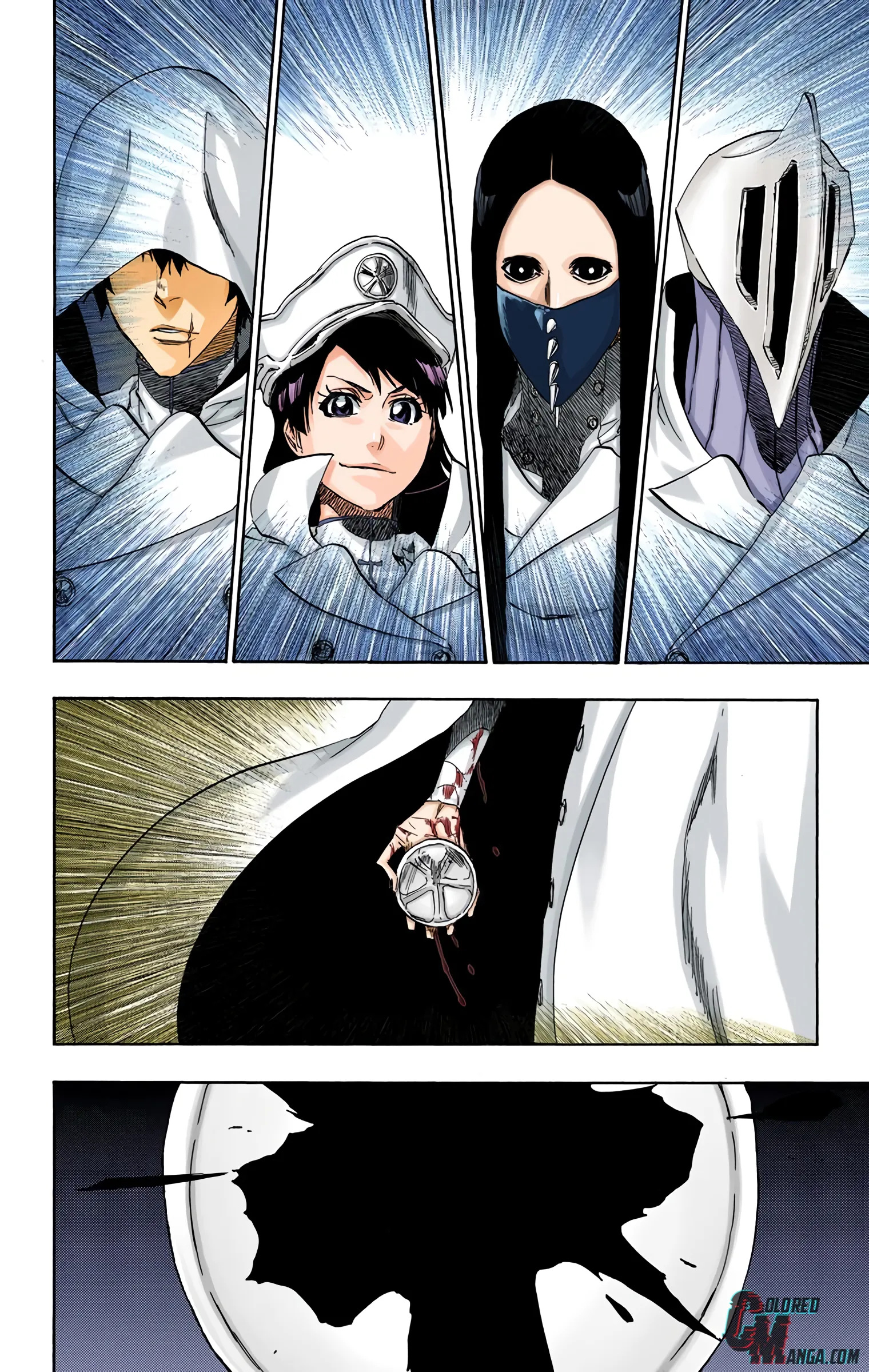 Read Bleach (Colored) EN Manga Online